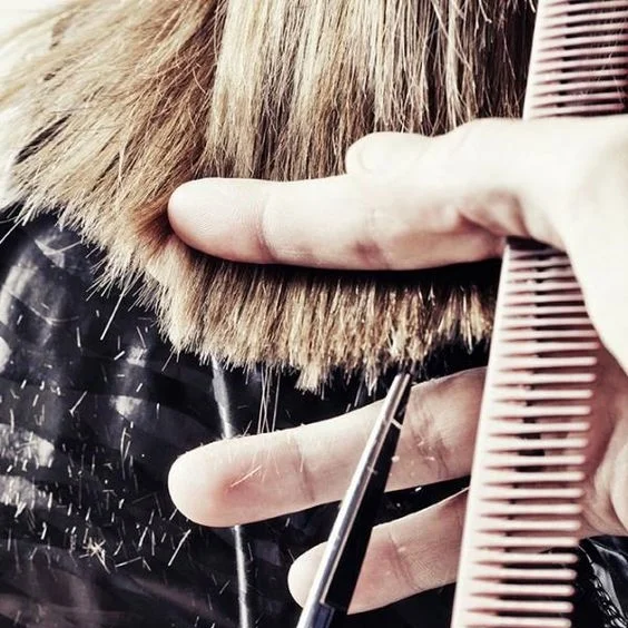 INSPIRING BUSINESS DREAMS: HAIRDRESSING