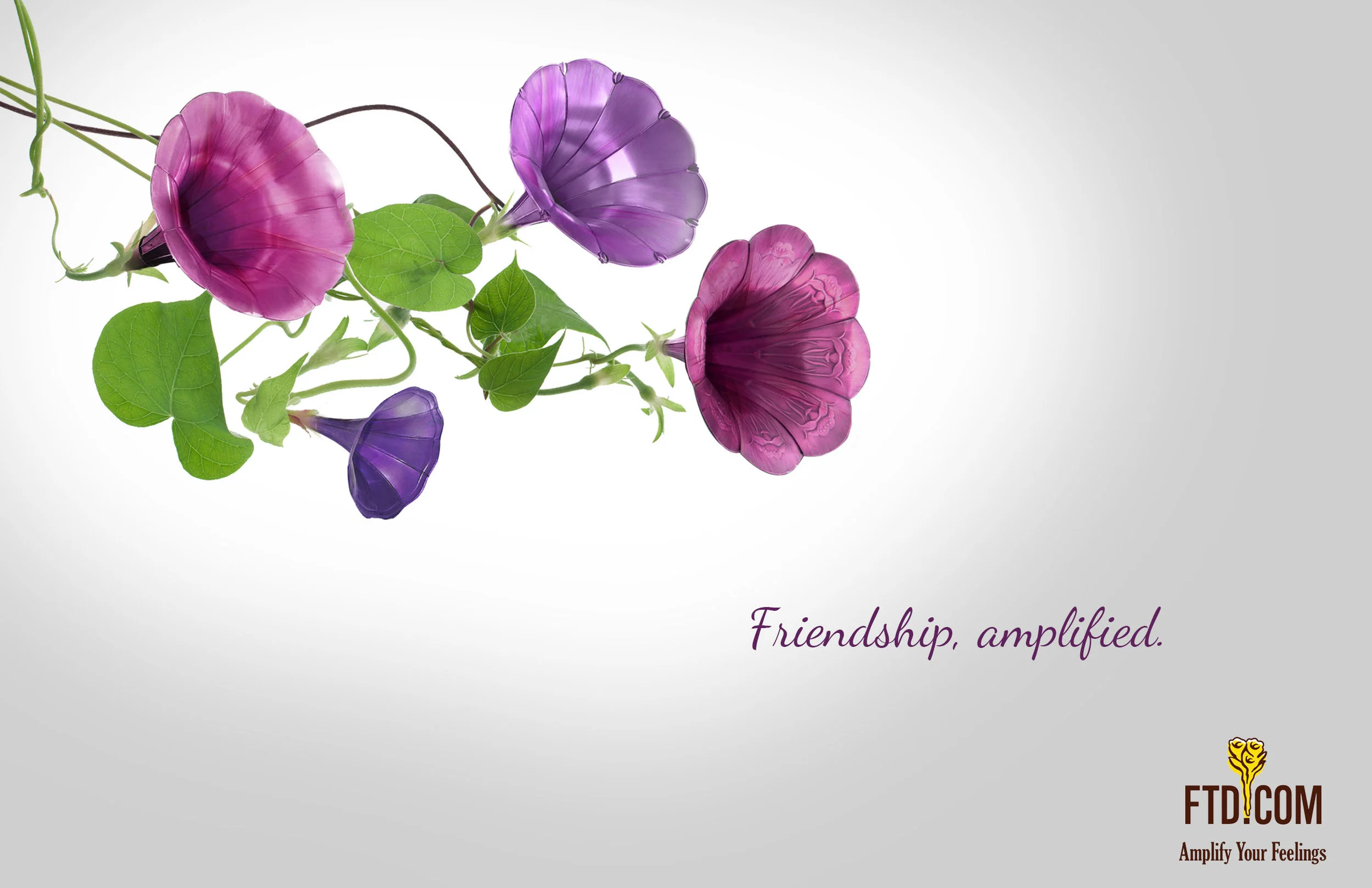  Print ad 2 