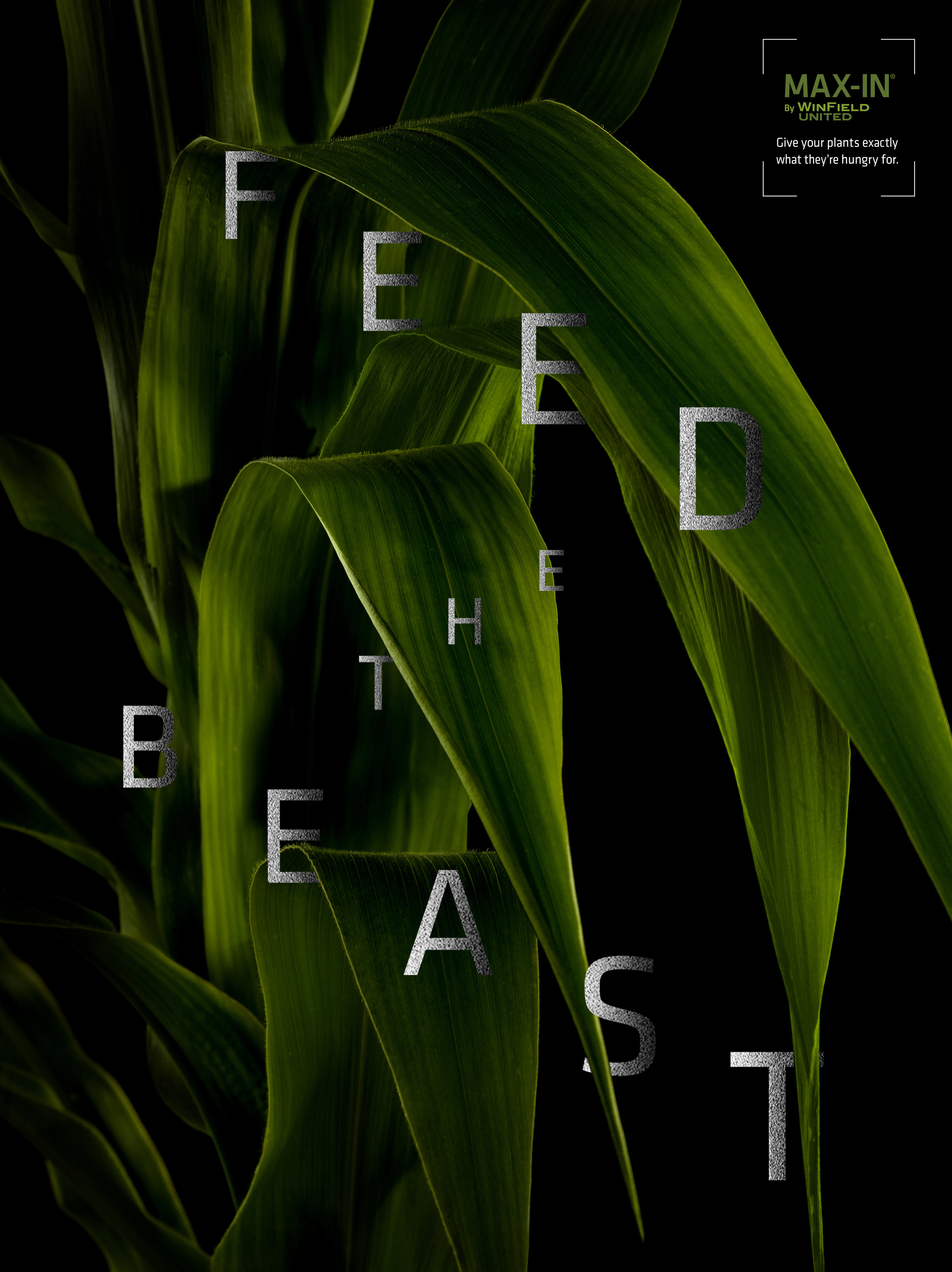  Max-In Corn Poster 