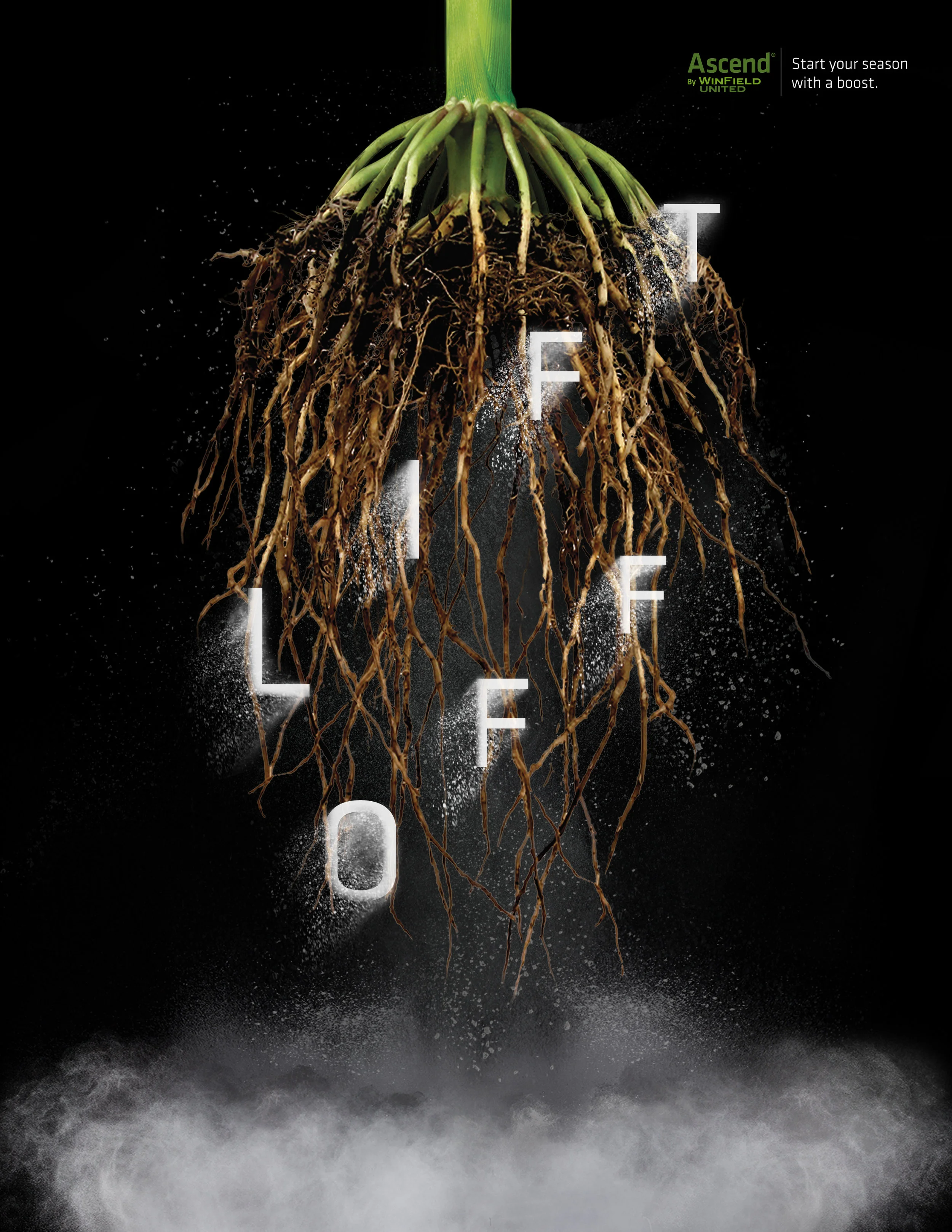  Ascend Corn Poster 