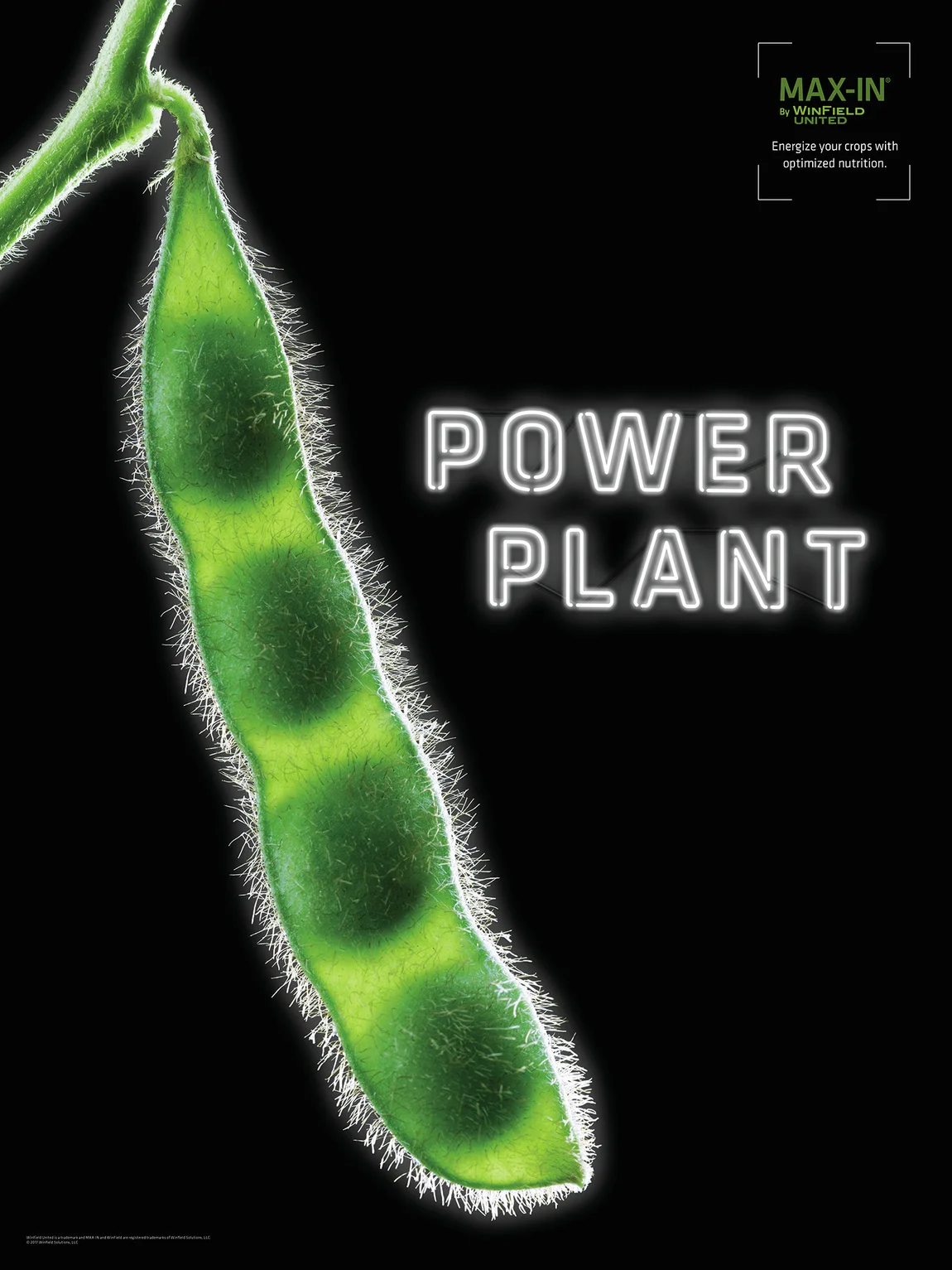  Max-In Soybean Poster 