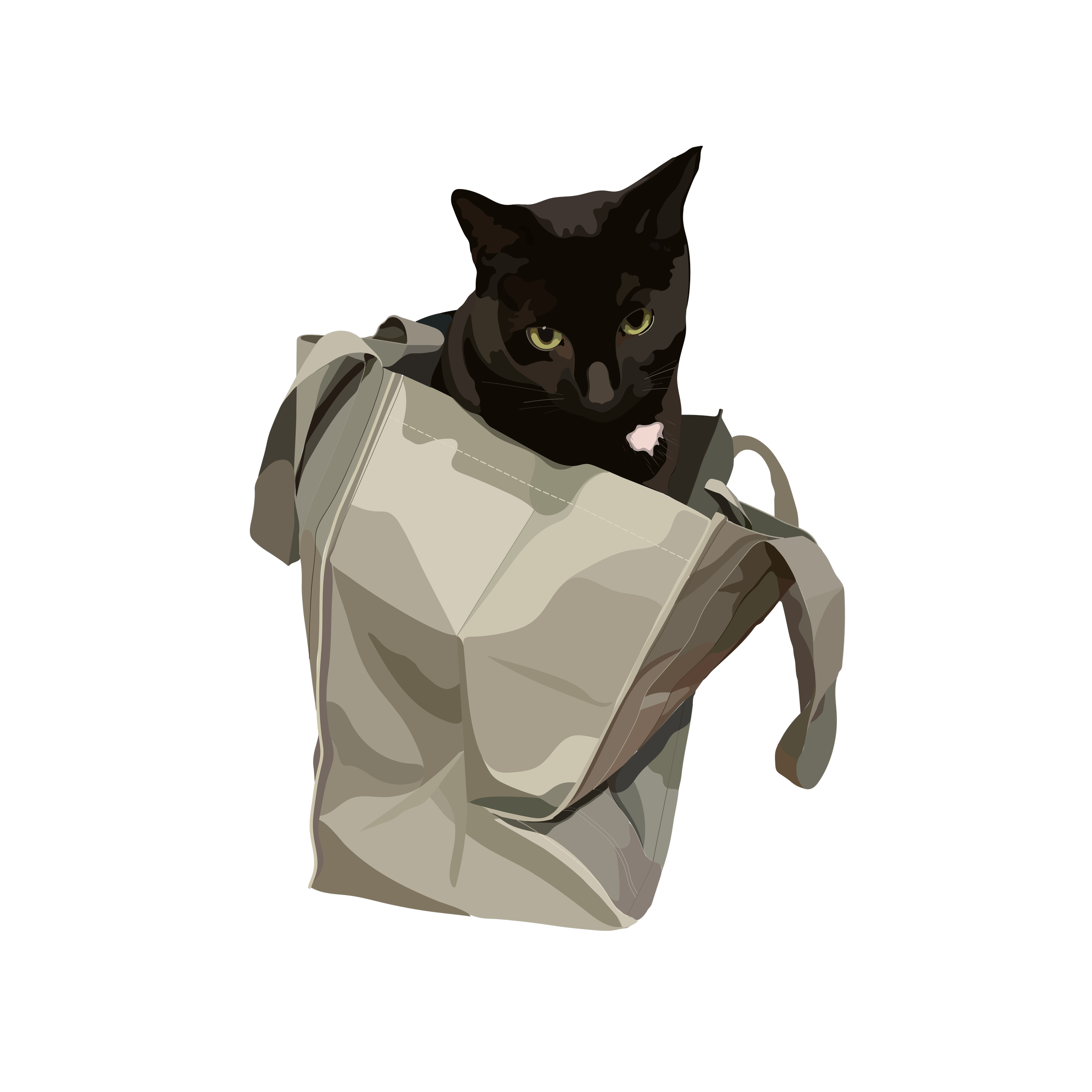 Aster_in_Grocery_Bag.png
