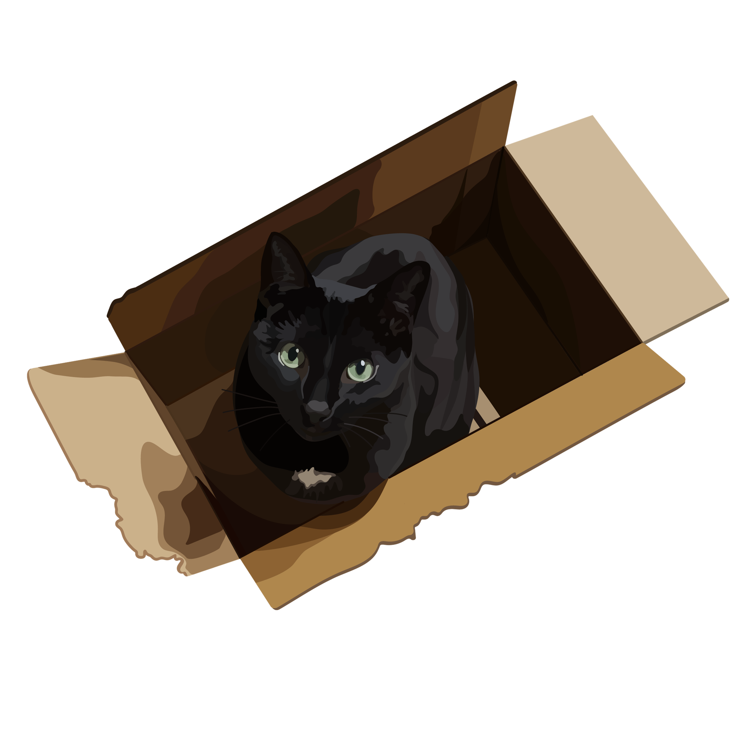 Aster in box.png