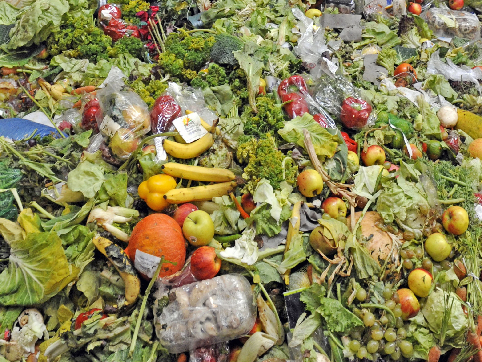 food-waste.jpg