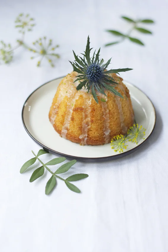 LIME & COCONUT YOGHURT CAKE