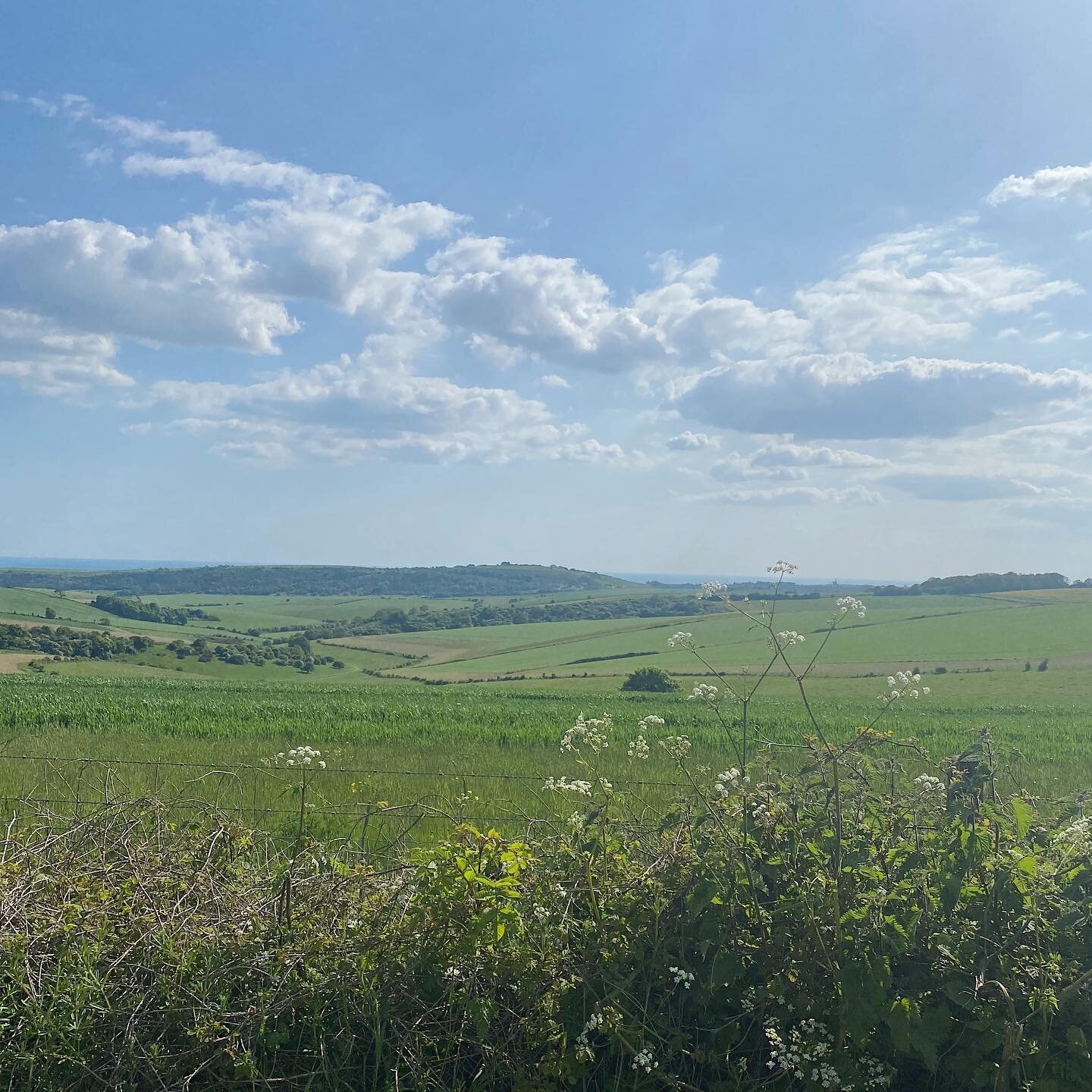 Training walk #4
7.5 hrs 

Devil&rsquo;s Dyke ➡️ Steyning ➡️ Bramber ➡️ Chanctonbury Ring ➡️ Botolph 

With the best companion 🤍

July2023 #walkthewight