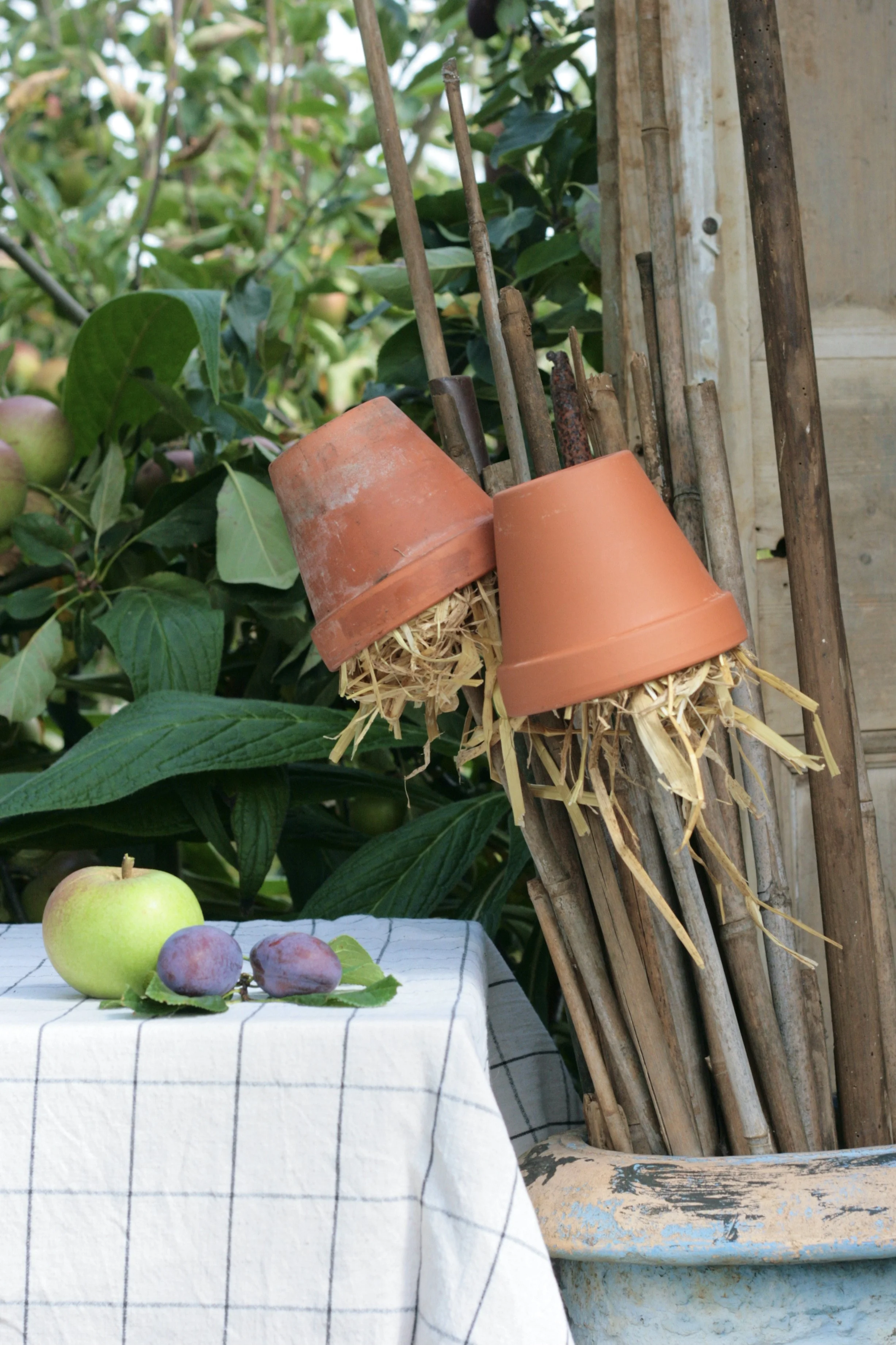 allotment-makes-3.JPG