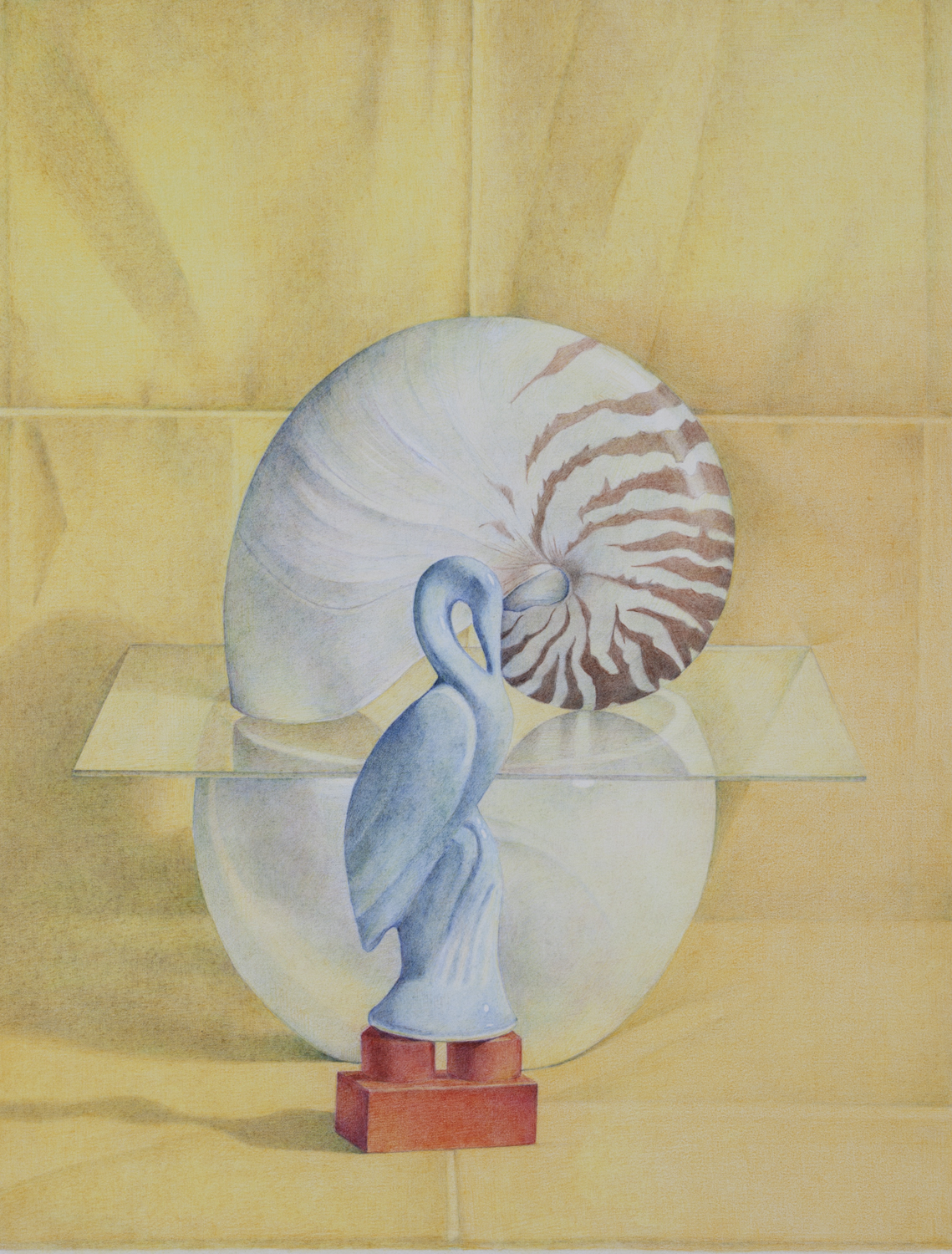 The Nautilus Shell