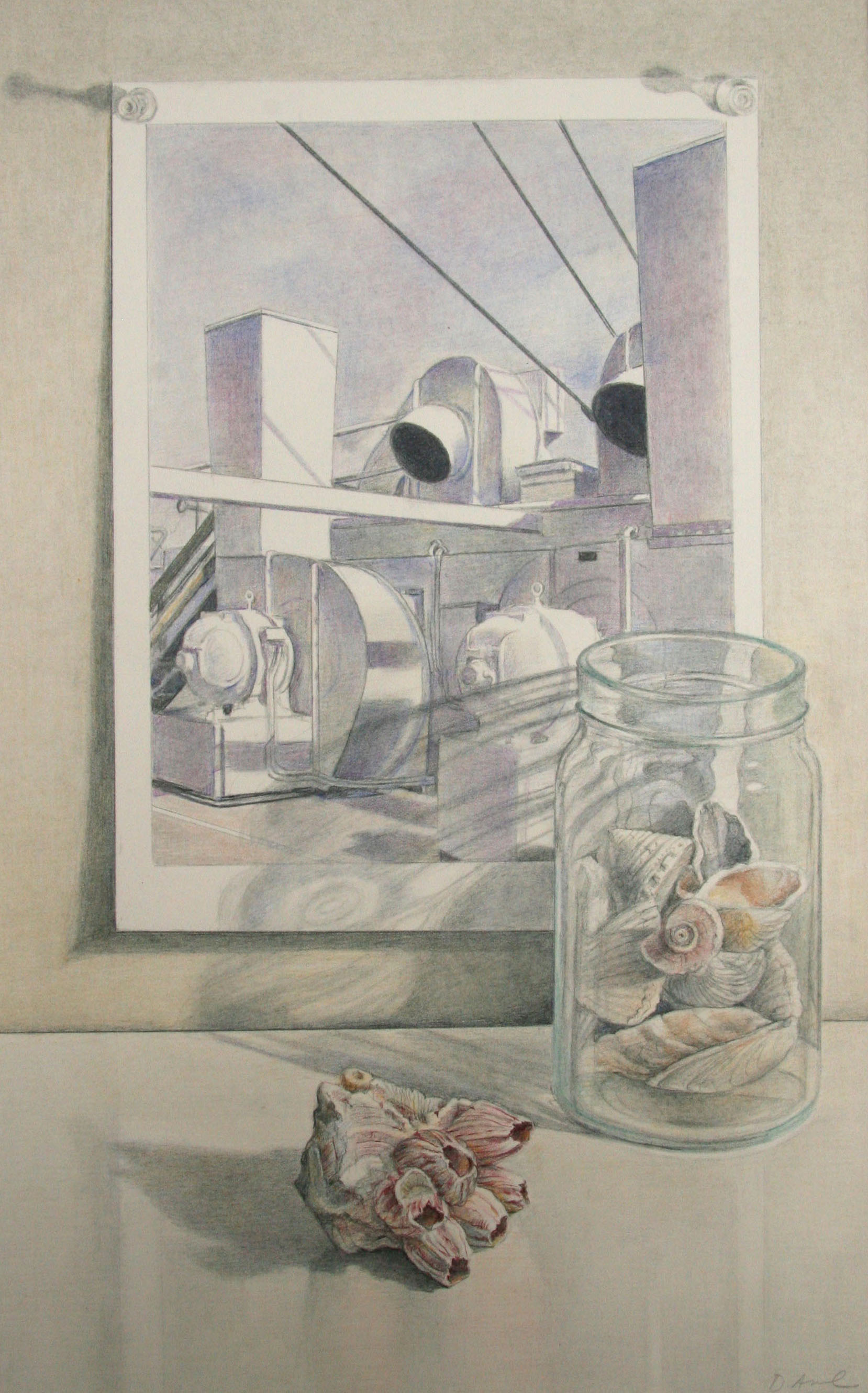 Shells with Sheeler (SOLD)