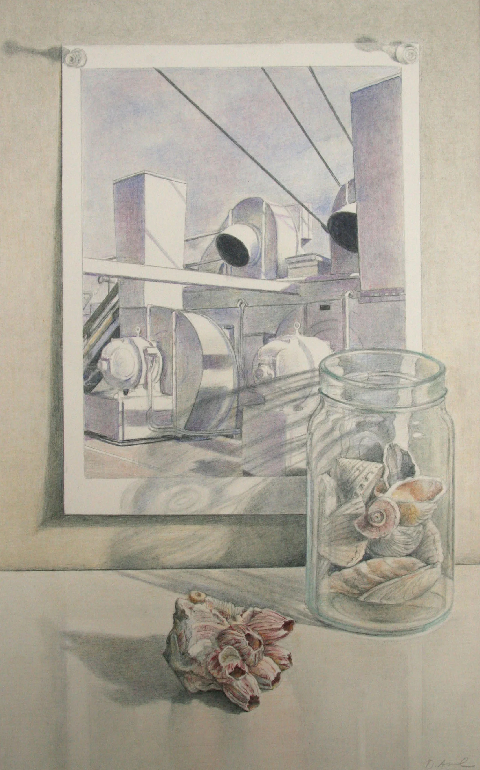 Sheeler with Shells