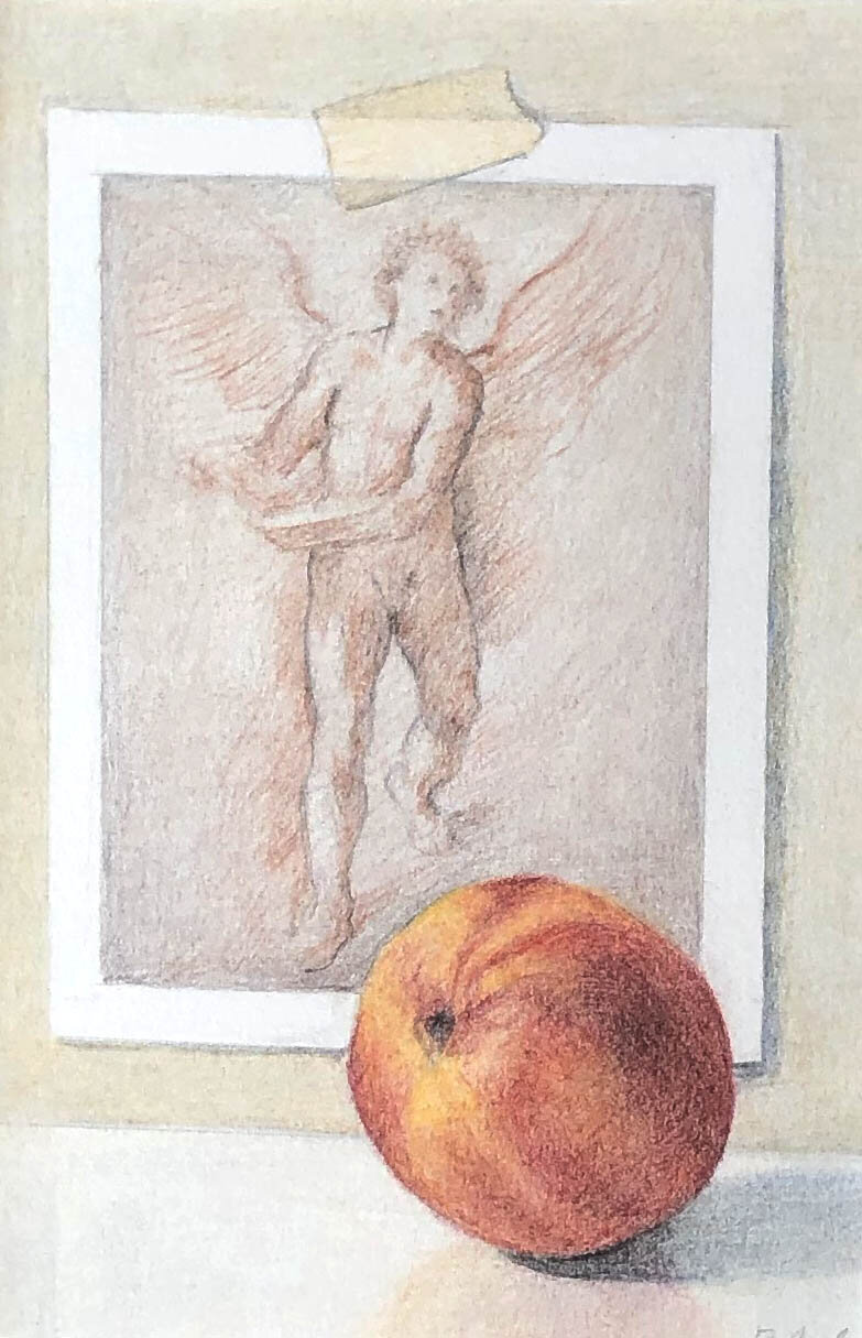 Nectarine with Michelangelo (SOLD)