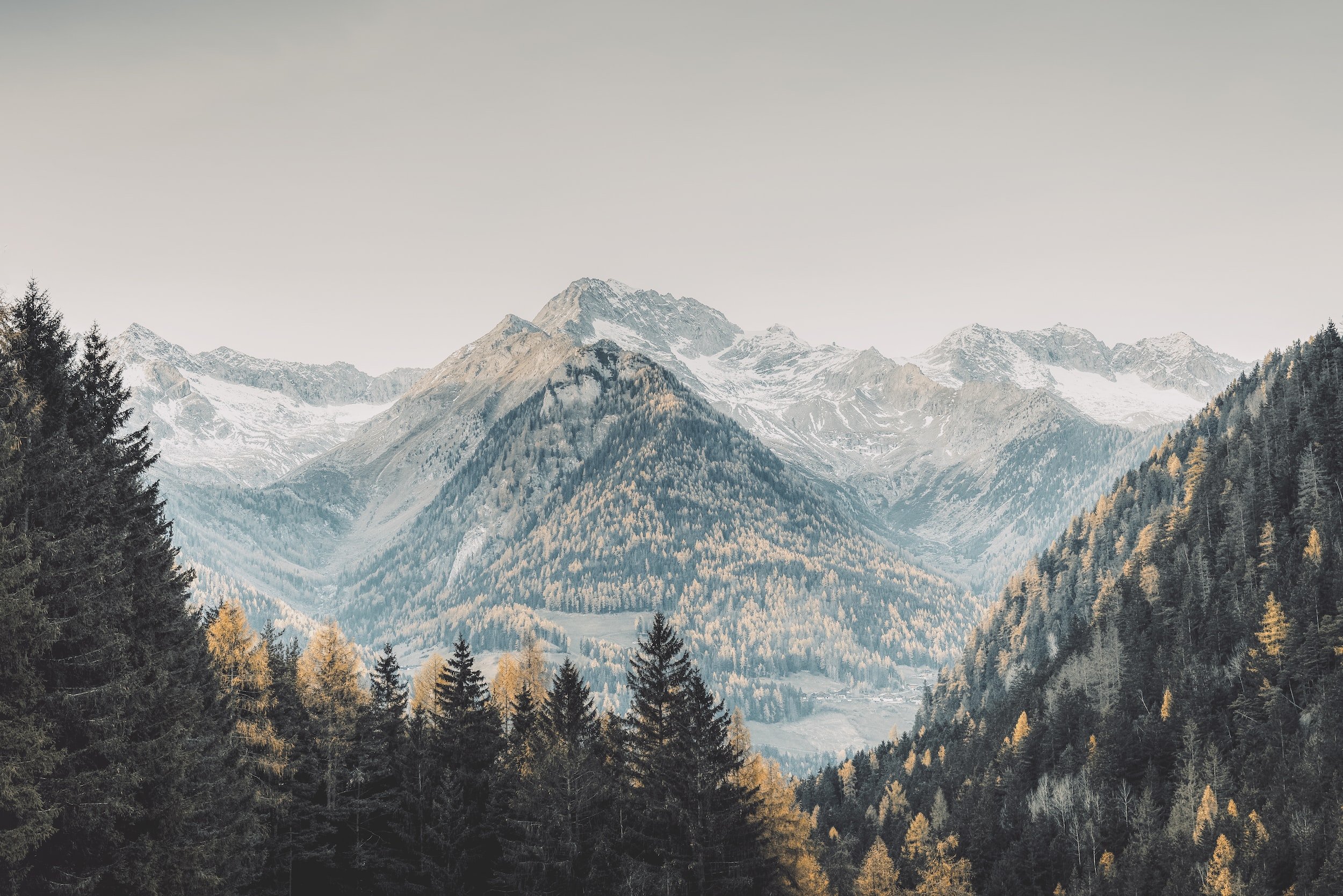 unsplash-image-IkXtNWhJMrs.jpg
