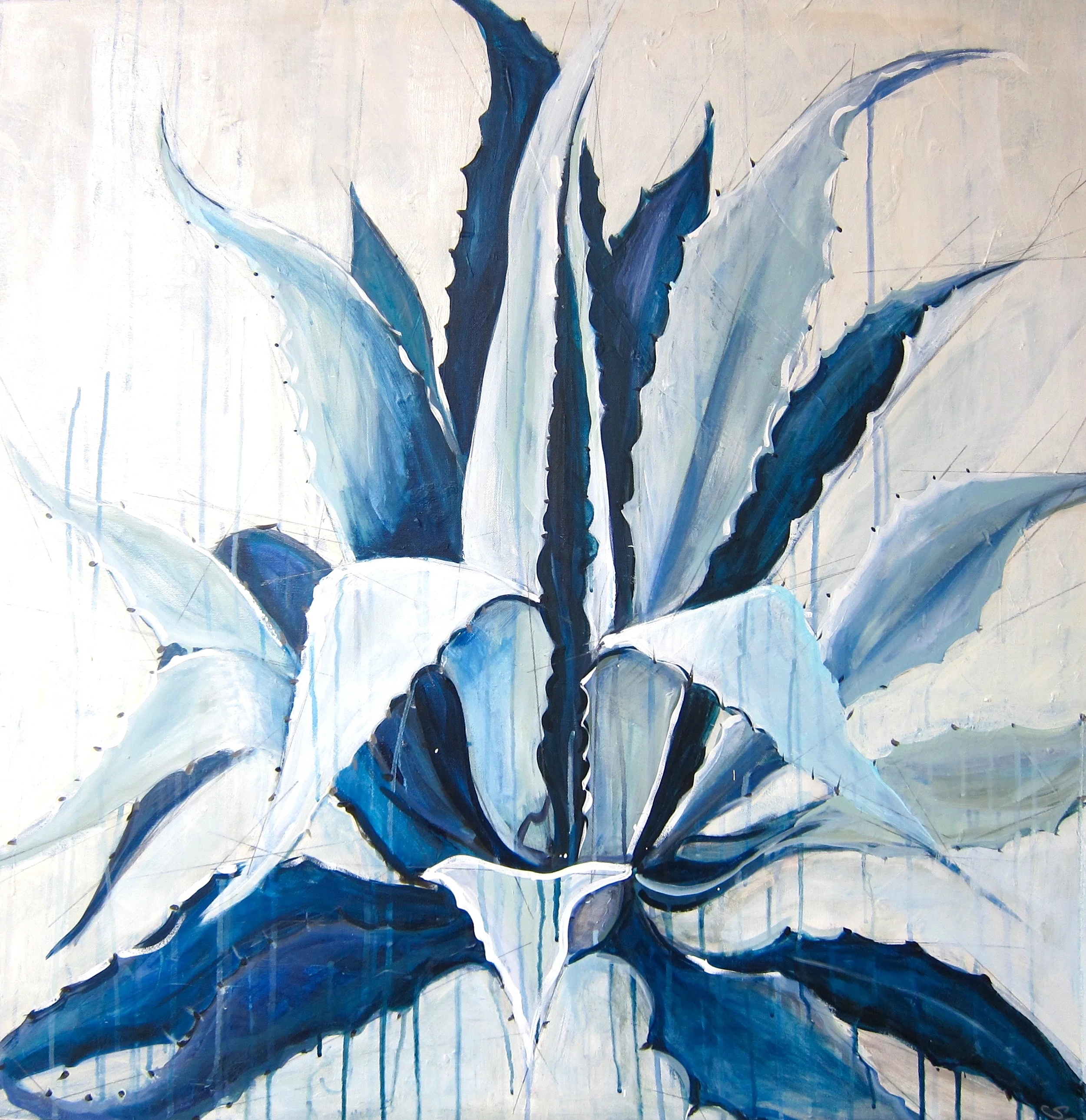 "Blue Agave" 36X36 IN Acrylic on Canvas FOR SALE $2,600