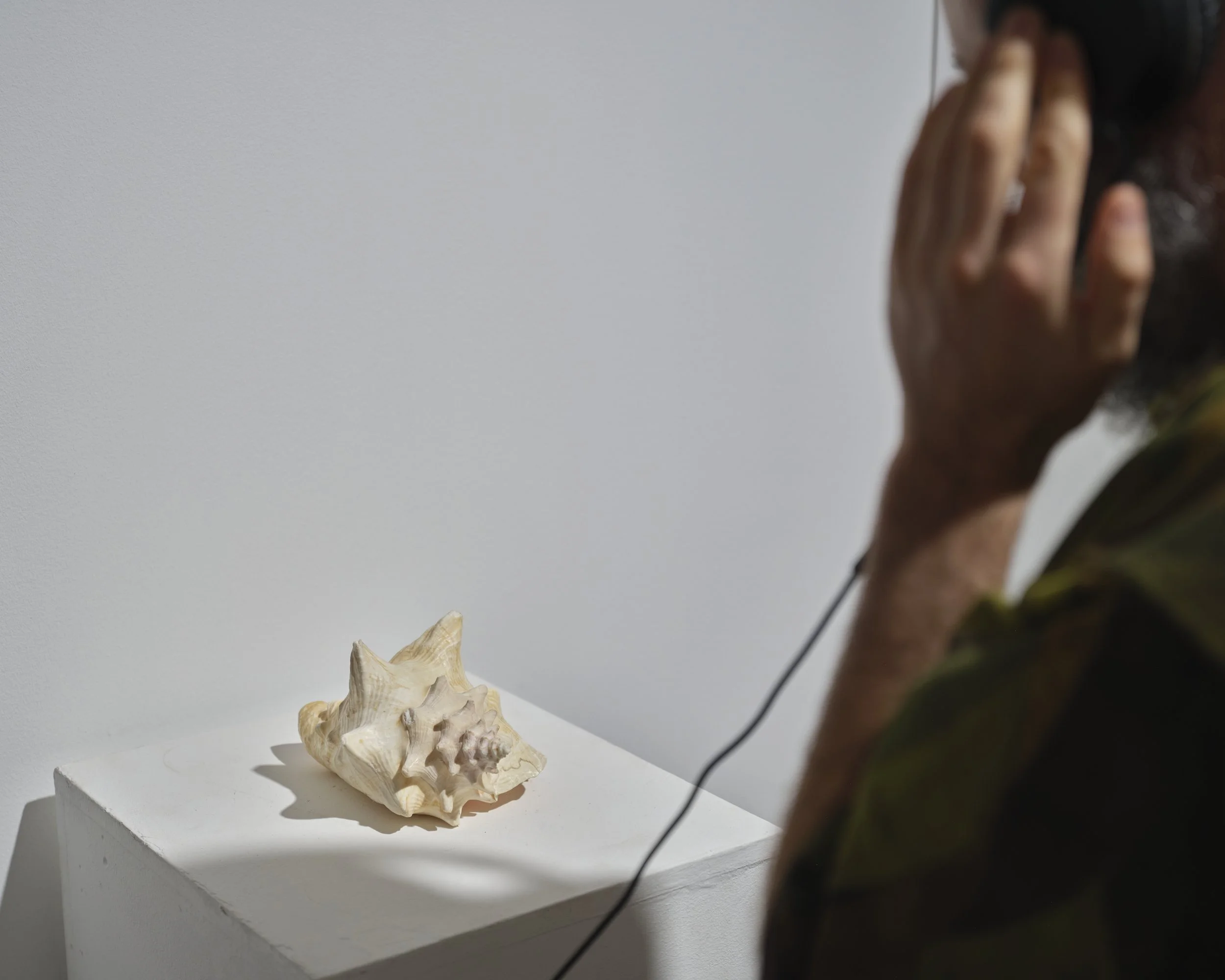 20251104 UU Sarah-Joy Ford 053.jpg