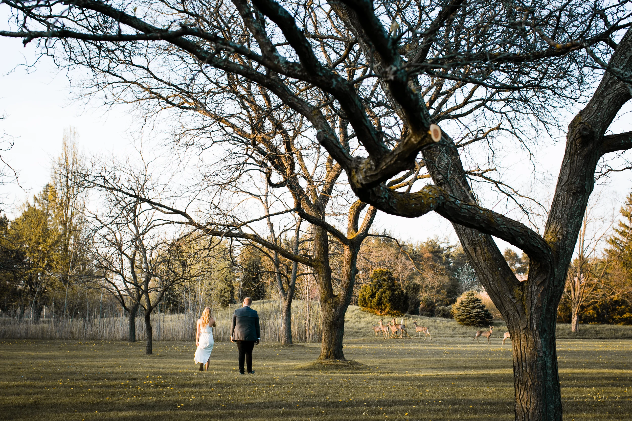 Kandesa&Isaac-Engagement-214.jpg