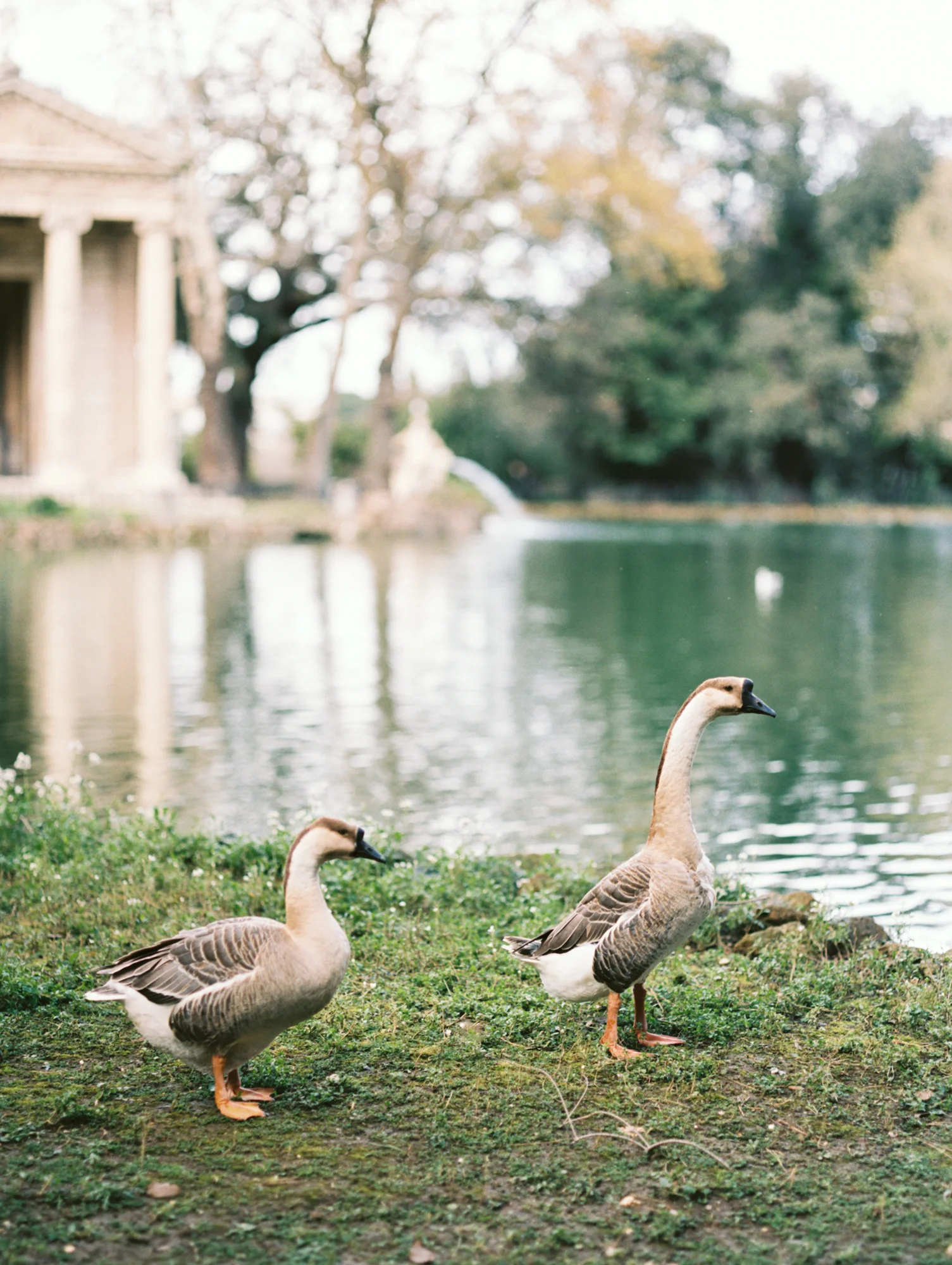 KatieNicollePhotography-6.jpg