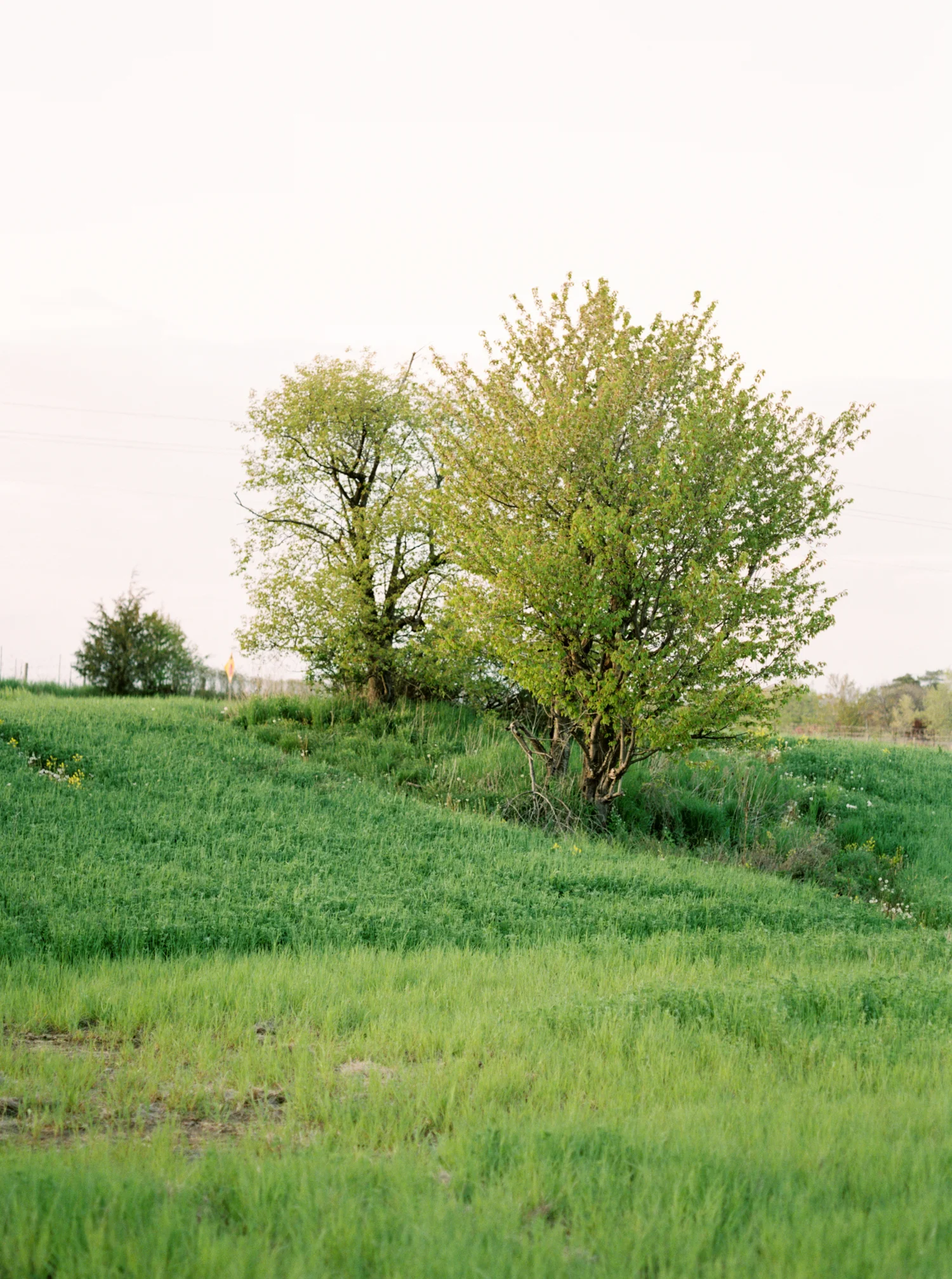 Katie-Nicolle-Niagara-Toronto-Muskoka-Wedding-30.jpg