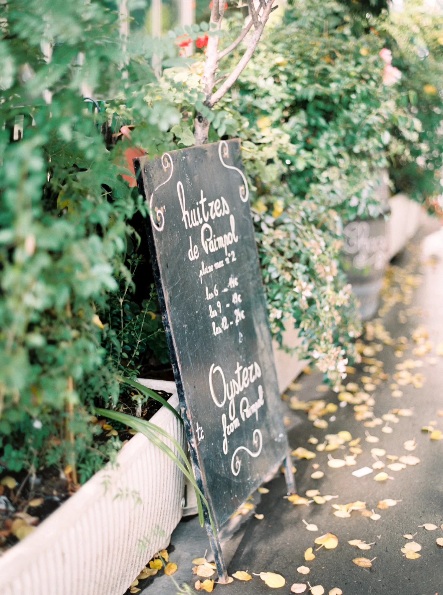 Paris Wedding Photographer - Niagara Wedding Photographer