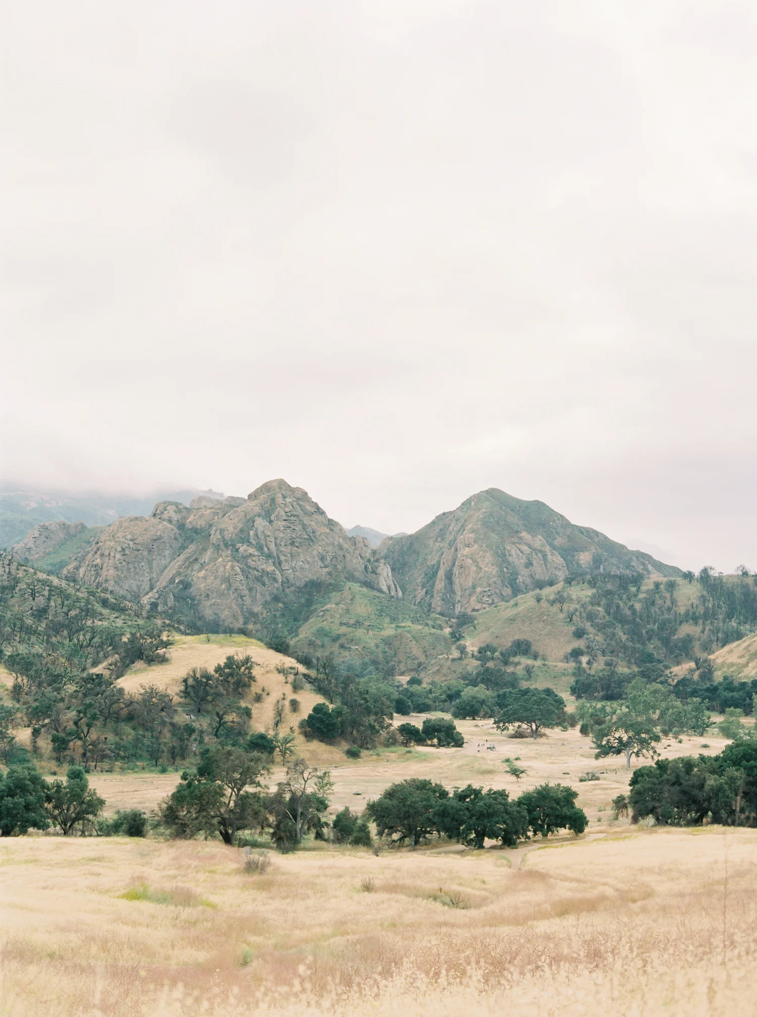 Malibu-Park-Anniversary-97.jpg