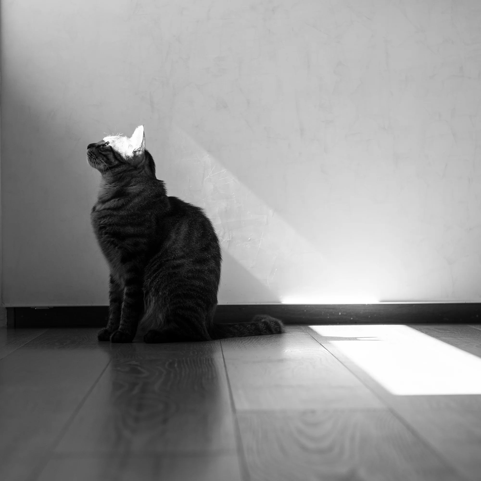 20170102-DSCF1543.jpg