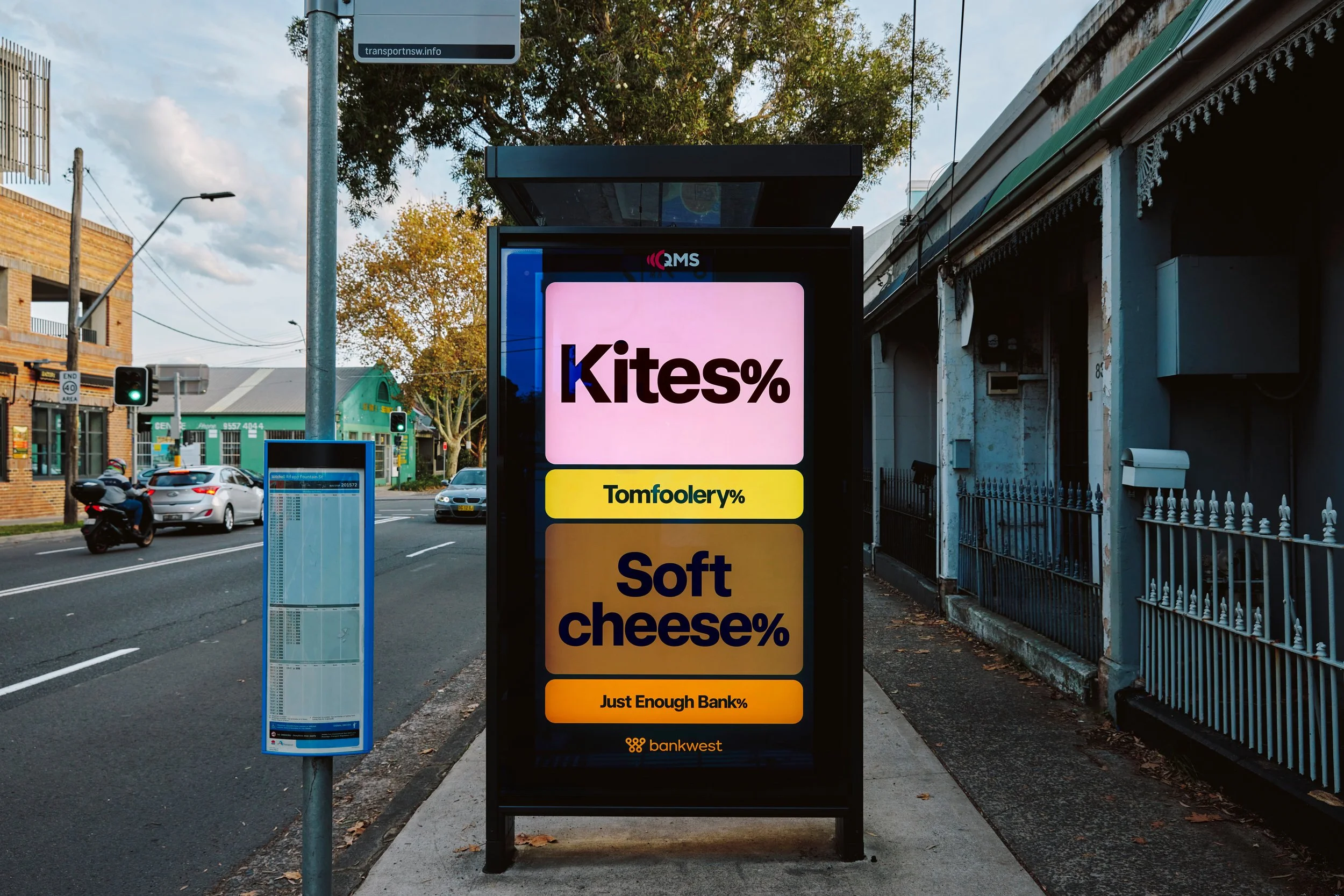 KITES.jpg