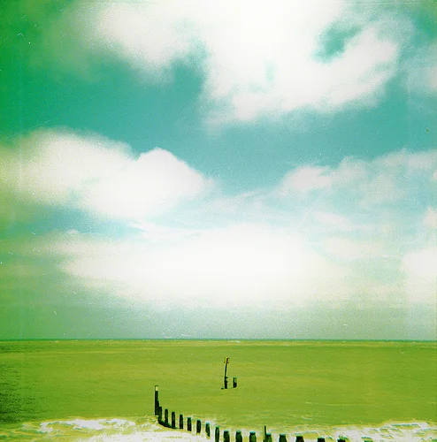 Untitled photo by Amy Elyse used with CC License 2.0