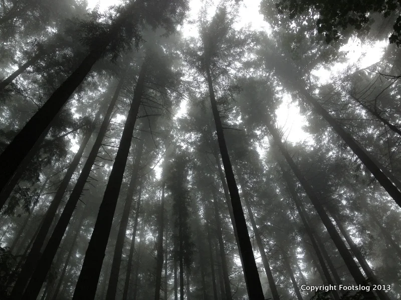 Photography by Arah McManamna