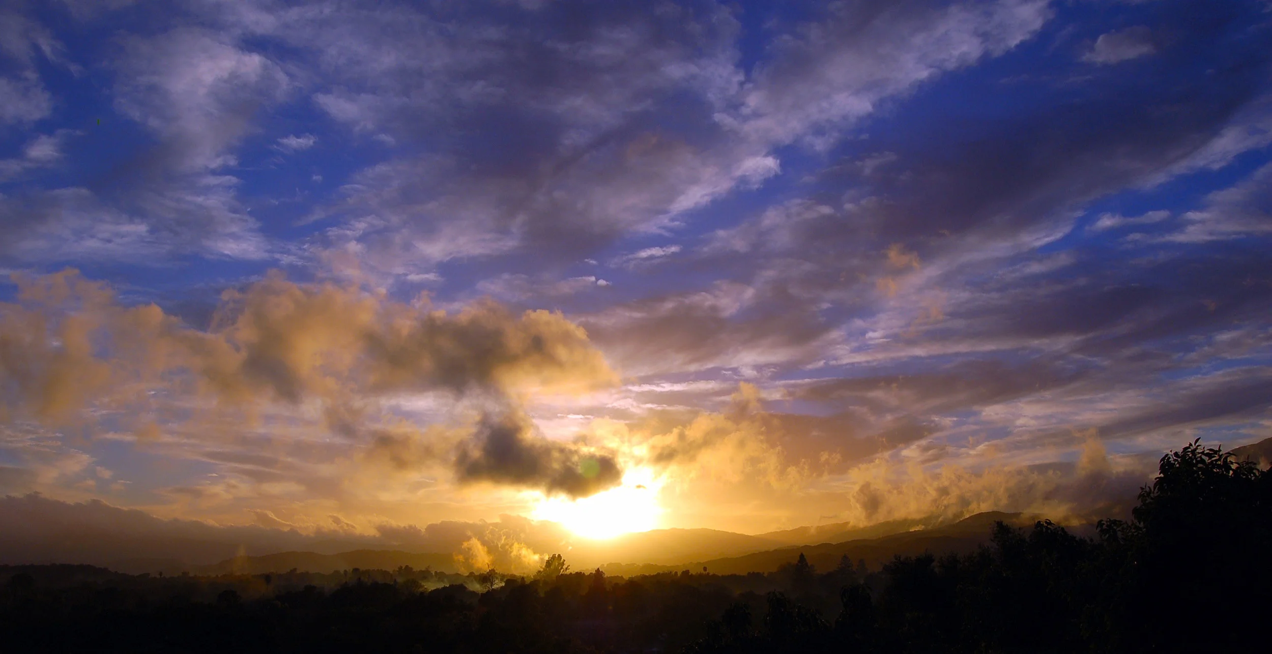 Photography by Arah McManamna