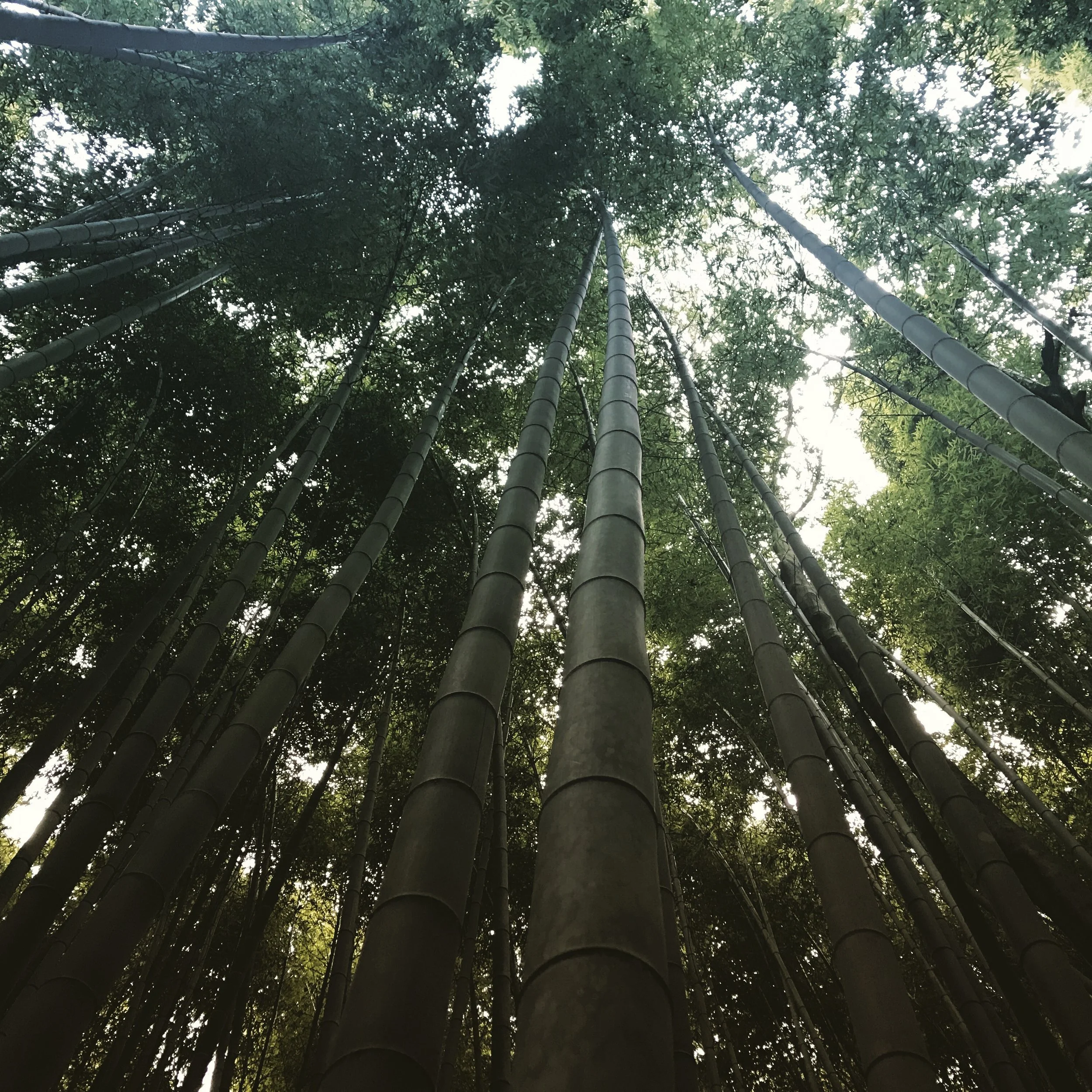 The Problem with Mindfulness