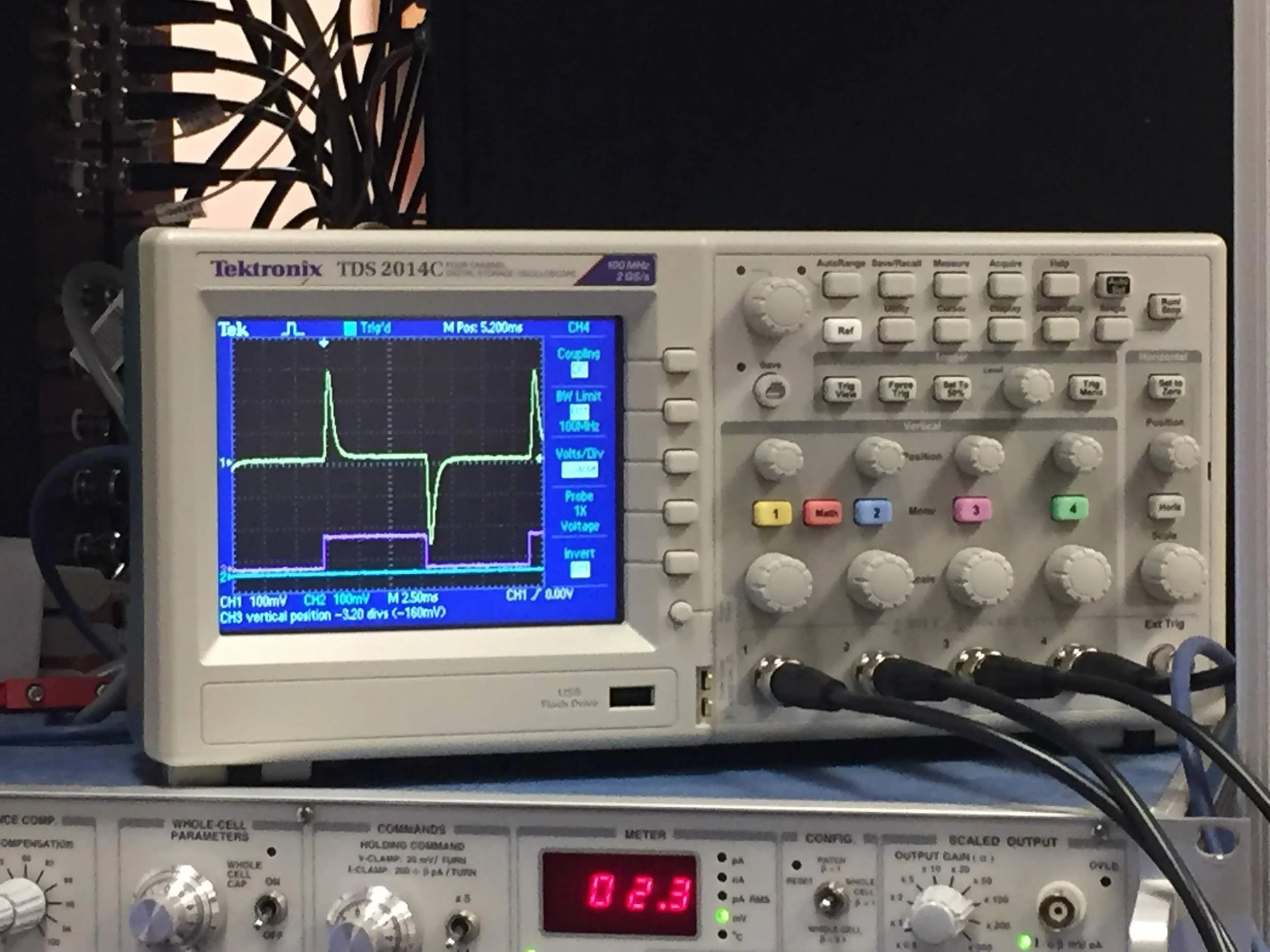 The lab's first (of many) model cell test!