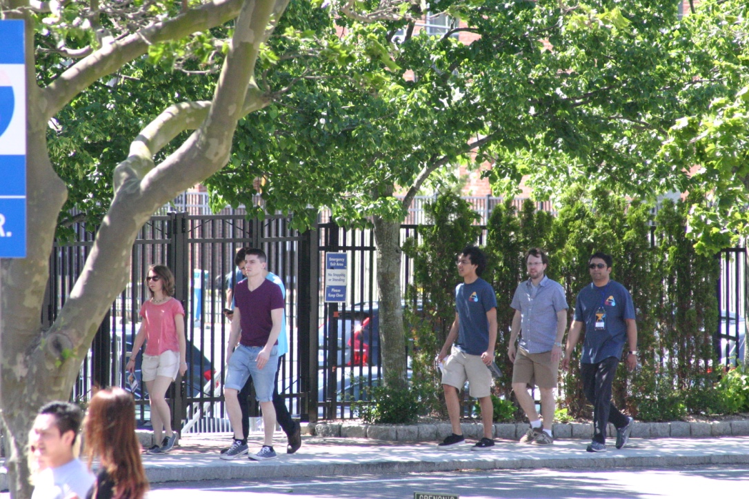 The Harnett Lab on walkabout in the streets of Newport.