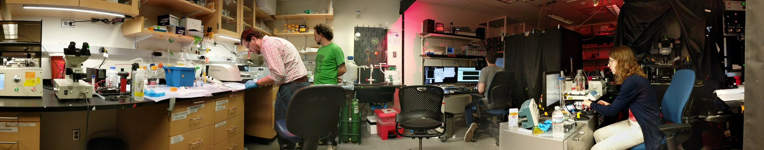 Nothing like human slices to bring the lab together!
