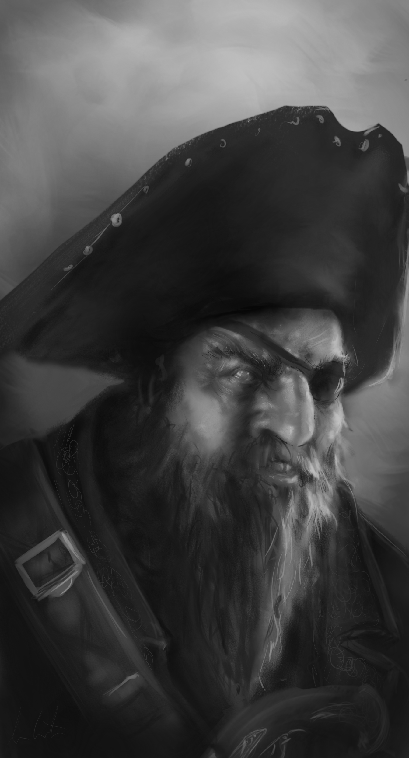 pirate3.png