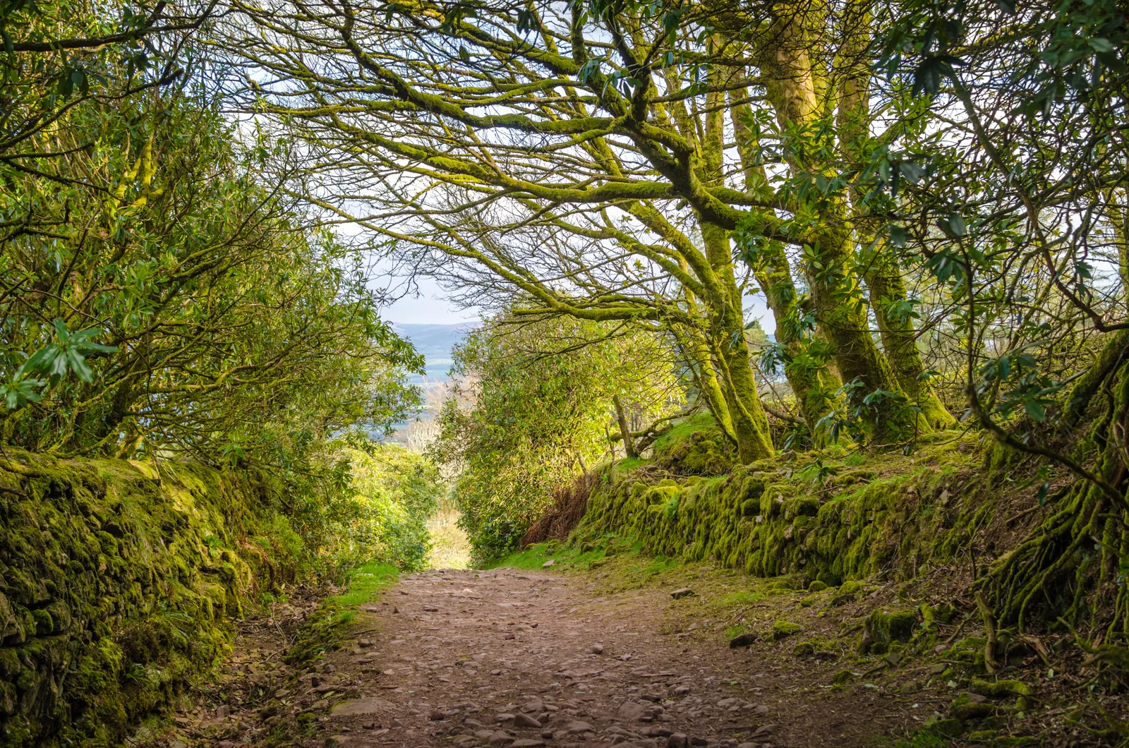 galtybeg-0516.jpg
