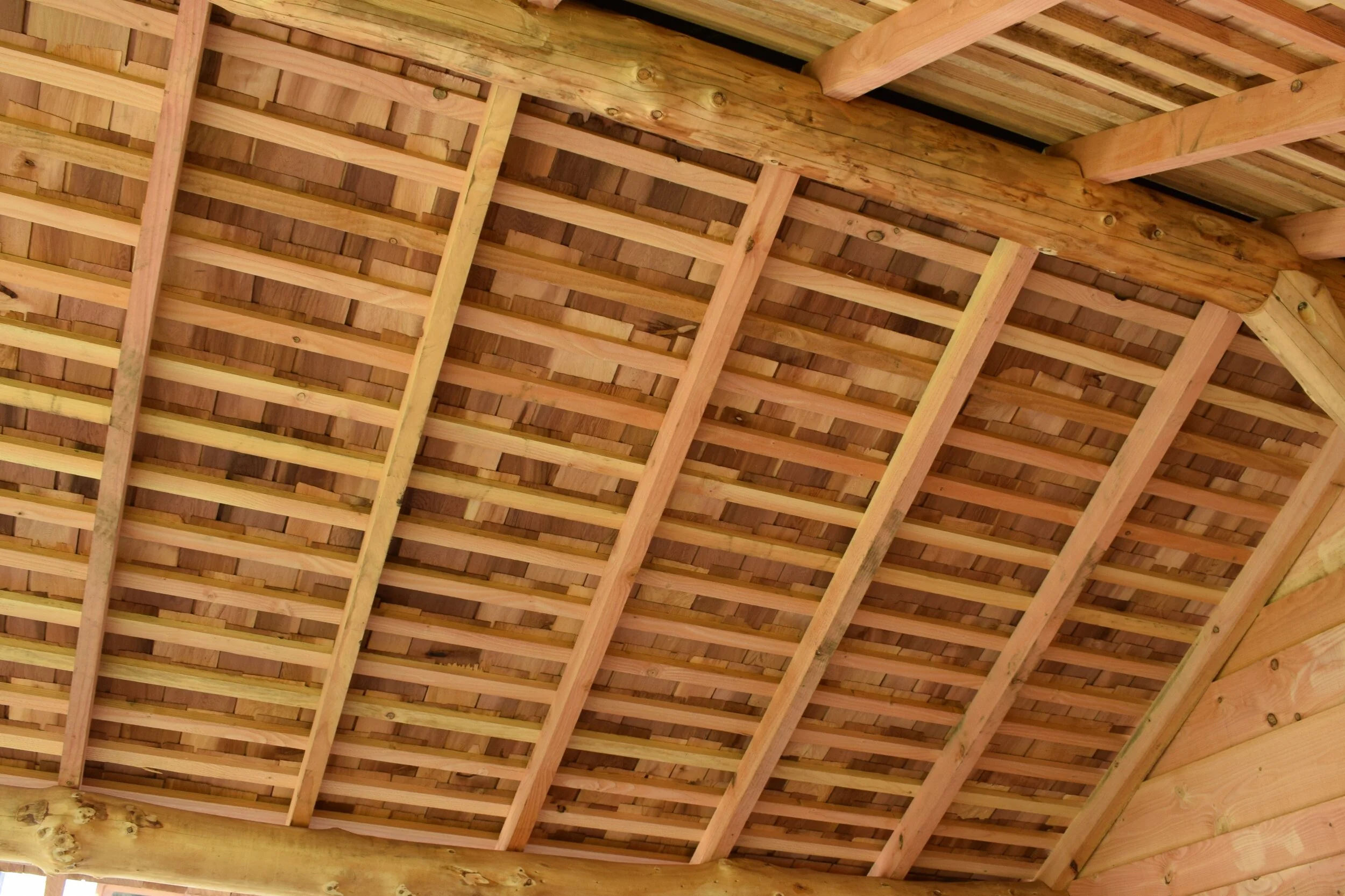 2 Pergola Gazeebo Roundwood Design Timber framing Larch Self build Eco build Shingles Carpentry Bristol Stroud UK.JPG