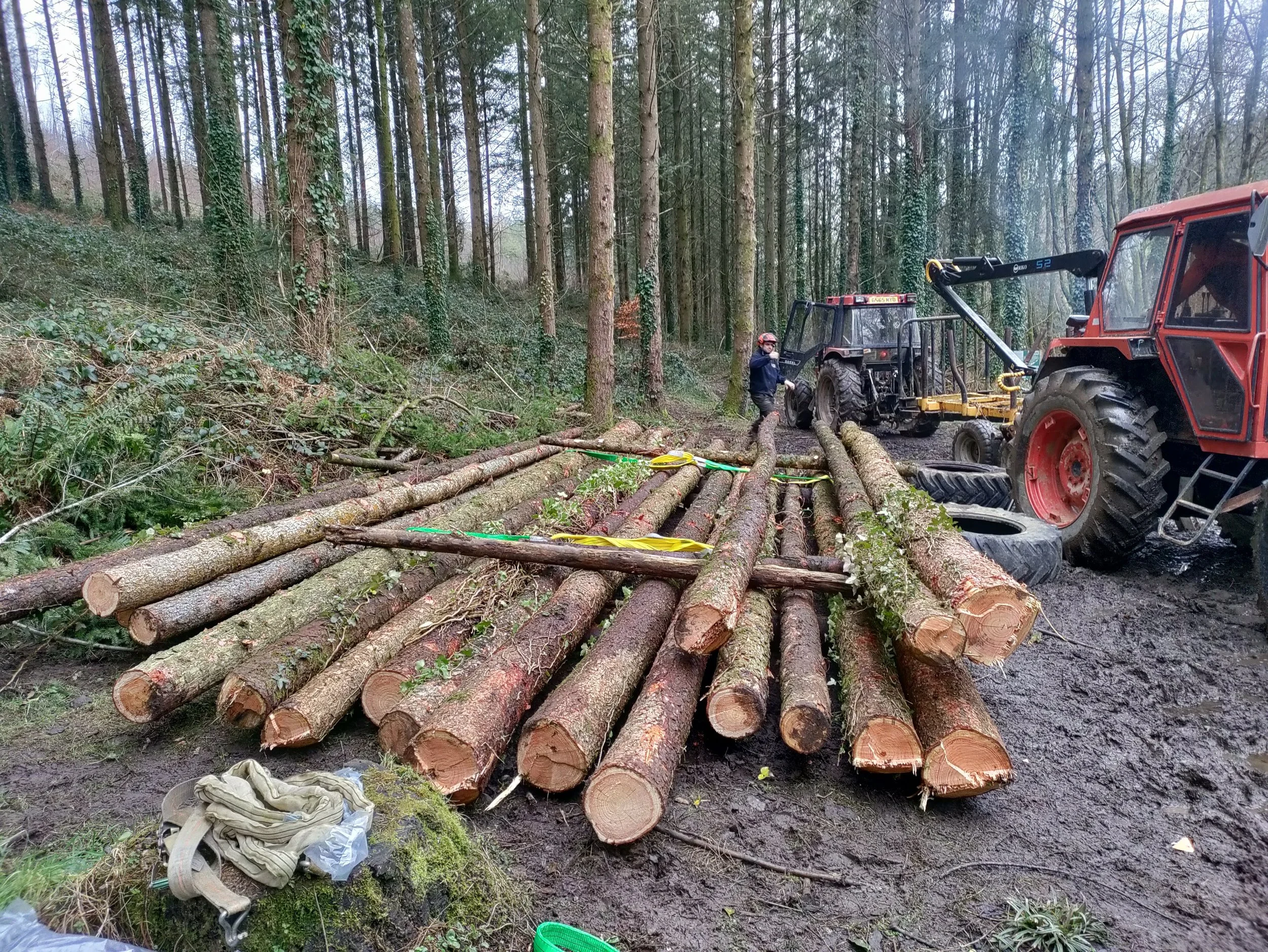 Picture of stacked poles.jpg