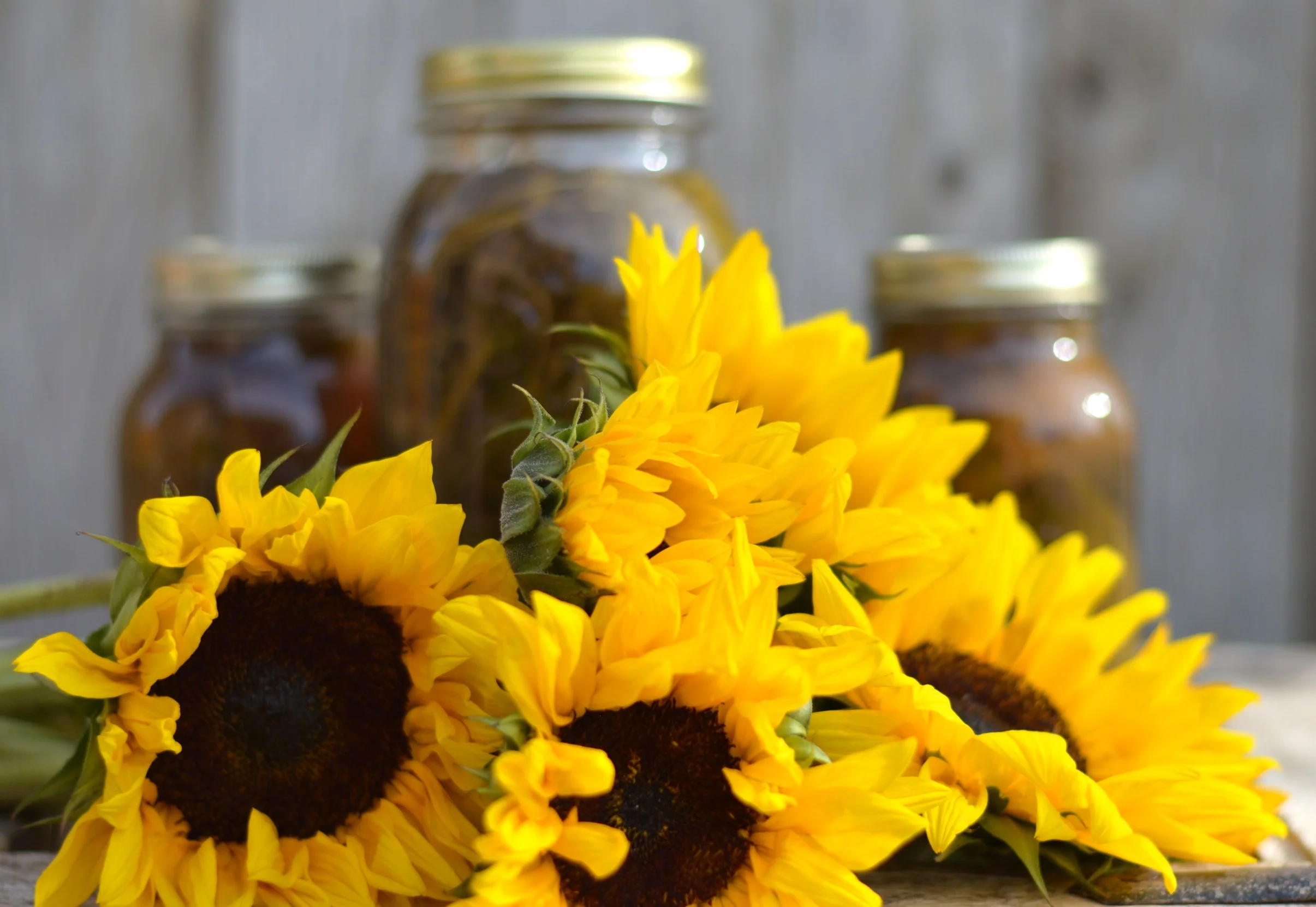 The Pickled Sunflower?