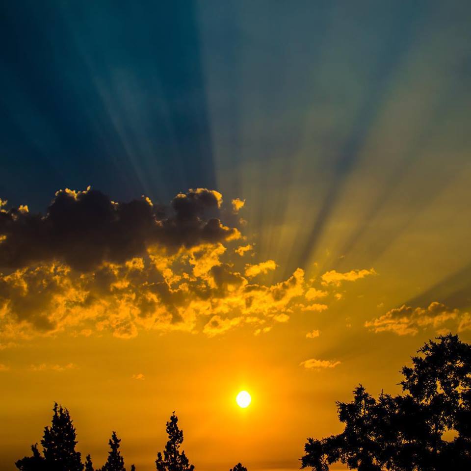Austin Tucker Photography