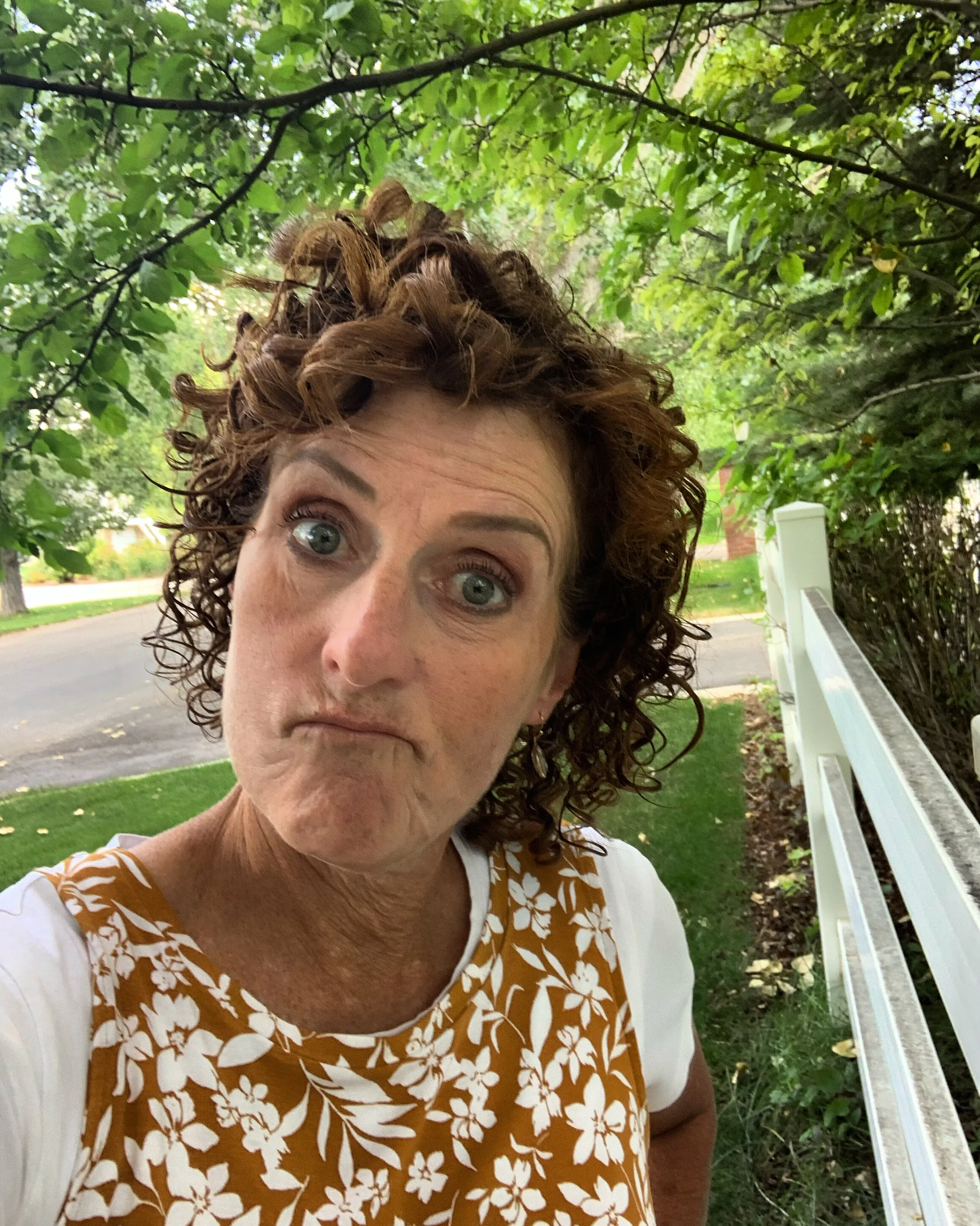 THE FACADE OF THE WHITE PICKET FENCE