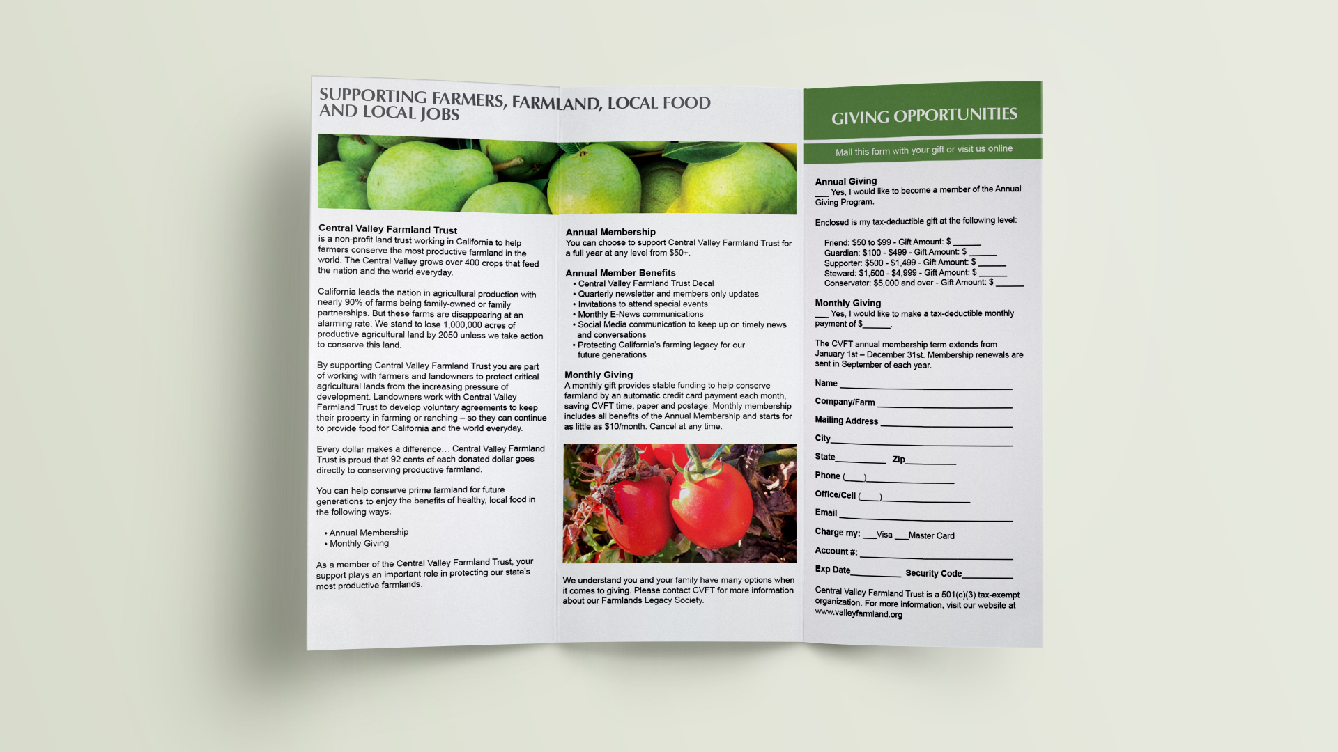 CVFT_BROCHURE_MOCK3.jpg