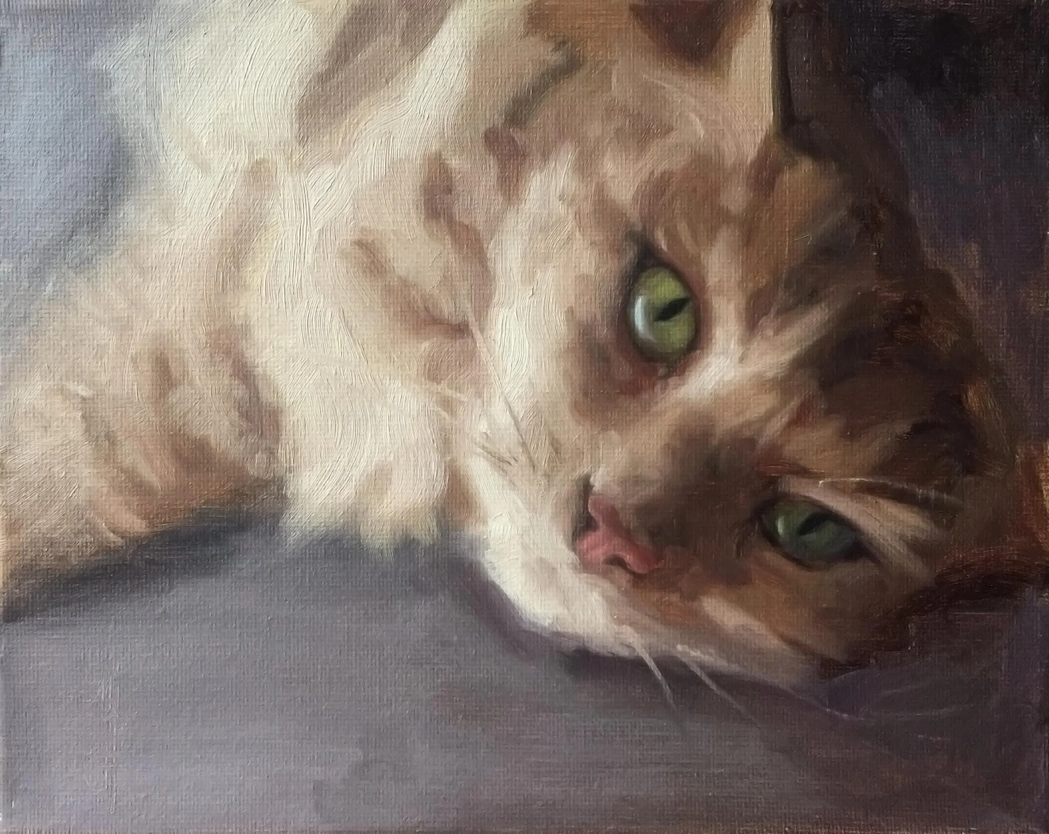 Baumann_Monica_GoldenEye_OilonCanvas_8x10_900_1.jpg