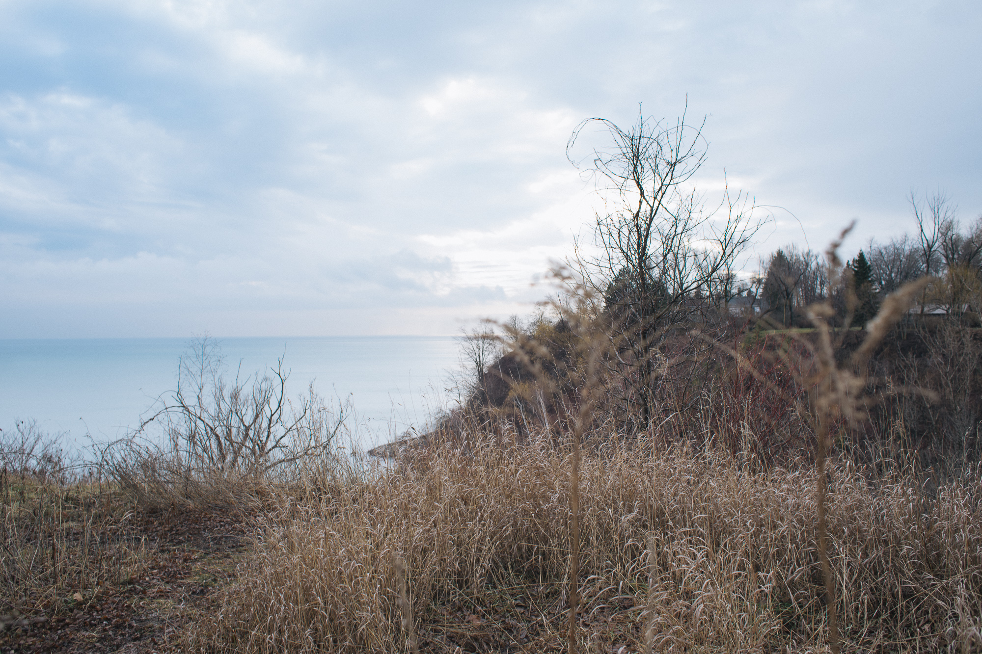 _DSC9378.jpg
