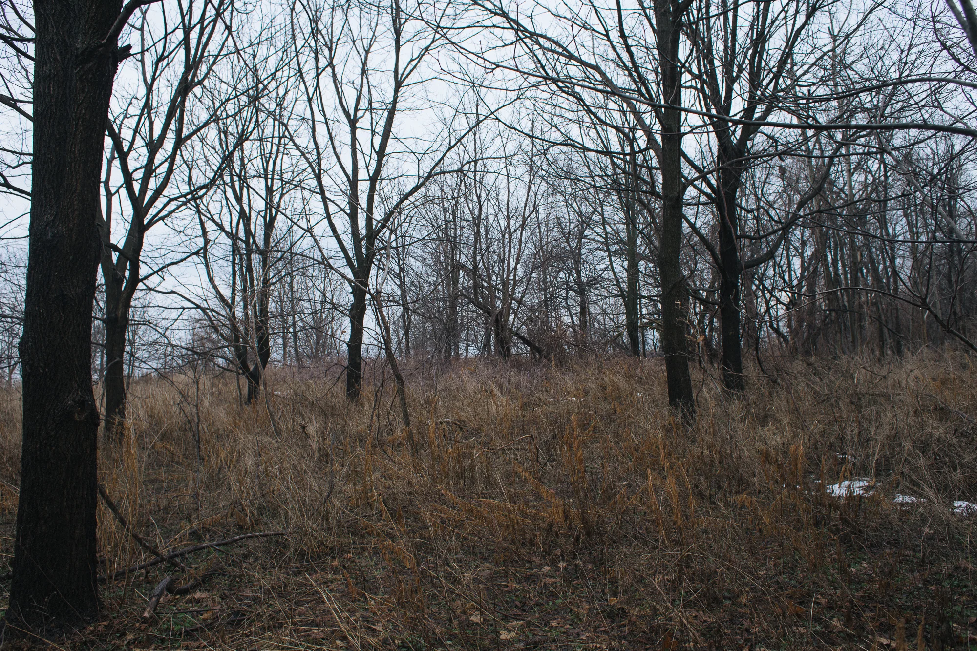 _DSC9355.jpg