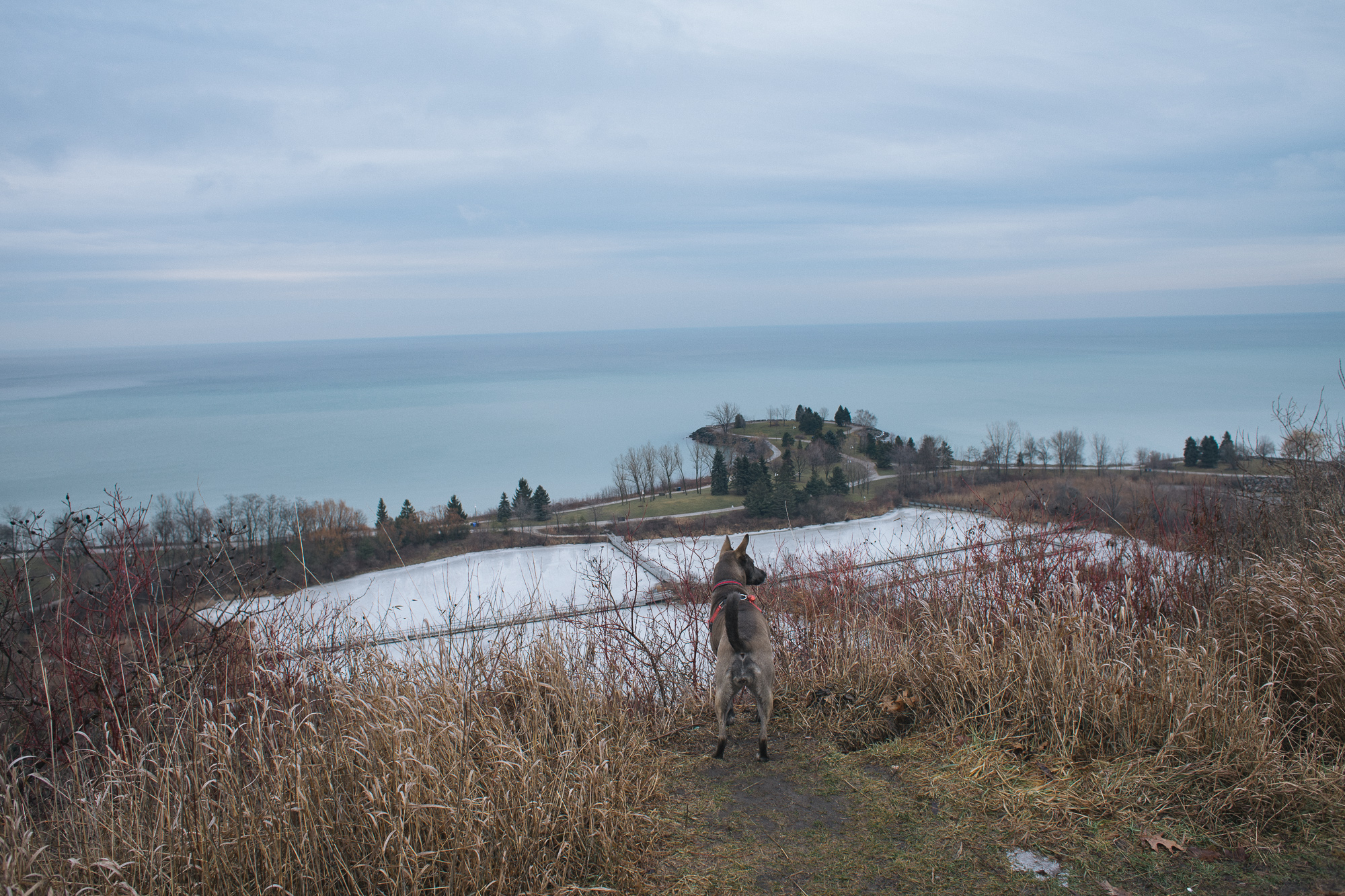 _DSC9358.jpg