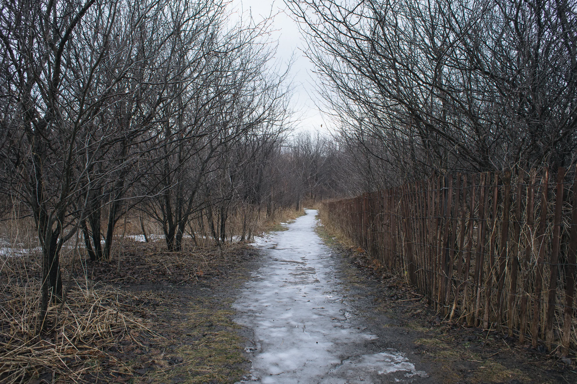 _DSC9361.jpg