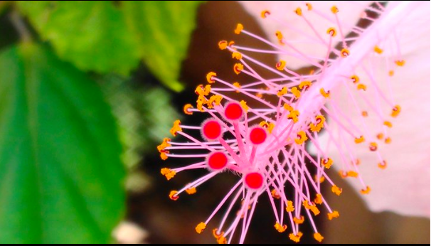 Screen Shot 2015-04-25 at 22.29.10.png