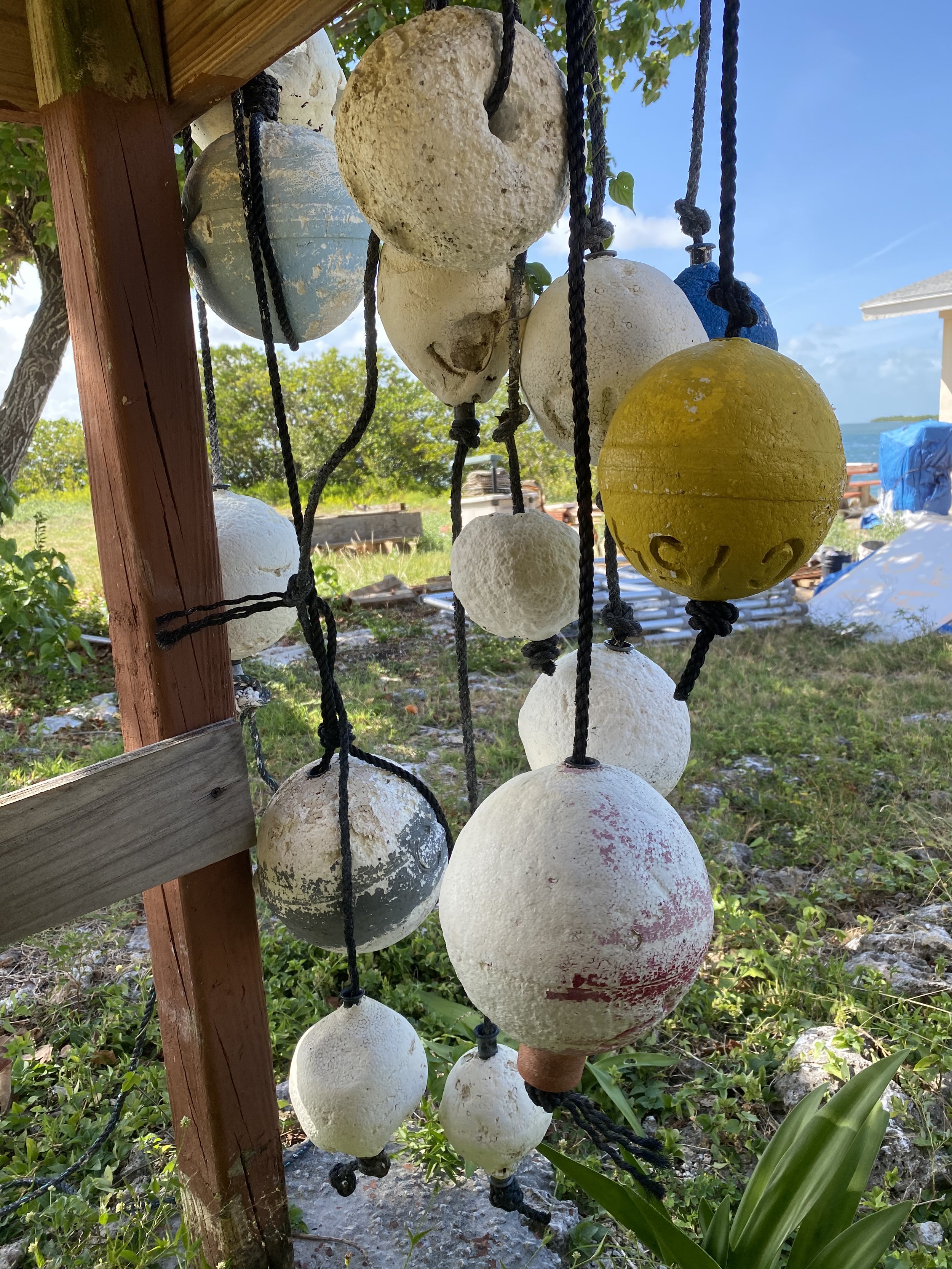 IMG_5316.jpeg