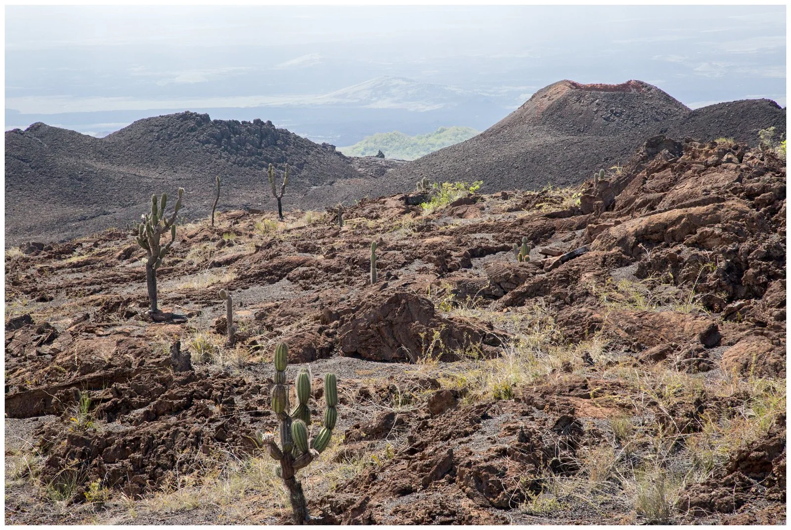      

 
  The northern side of the crater, which is where the recent lava flows have taken place, is called Volcan Chico.
 






















     