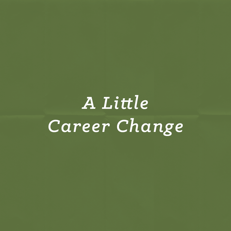 A Little Career Change kit