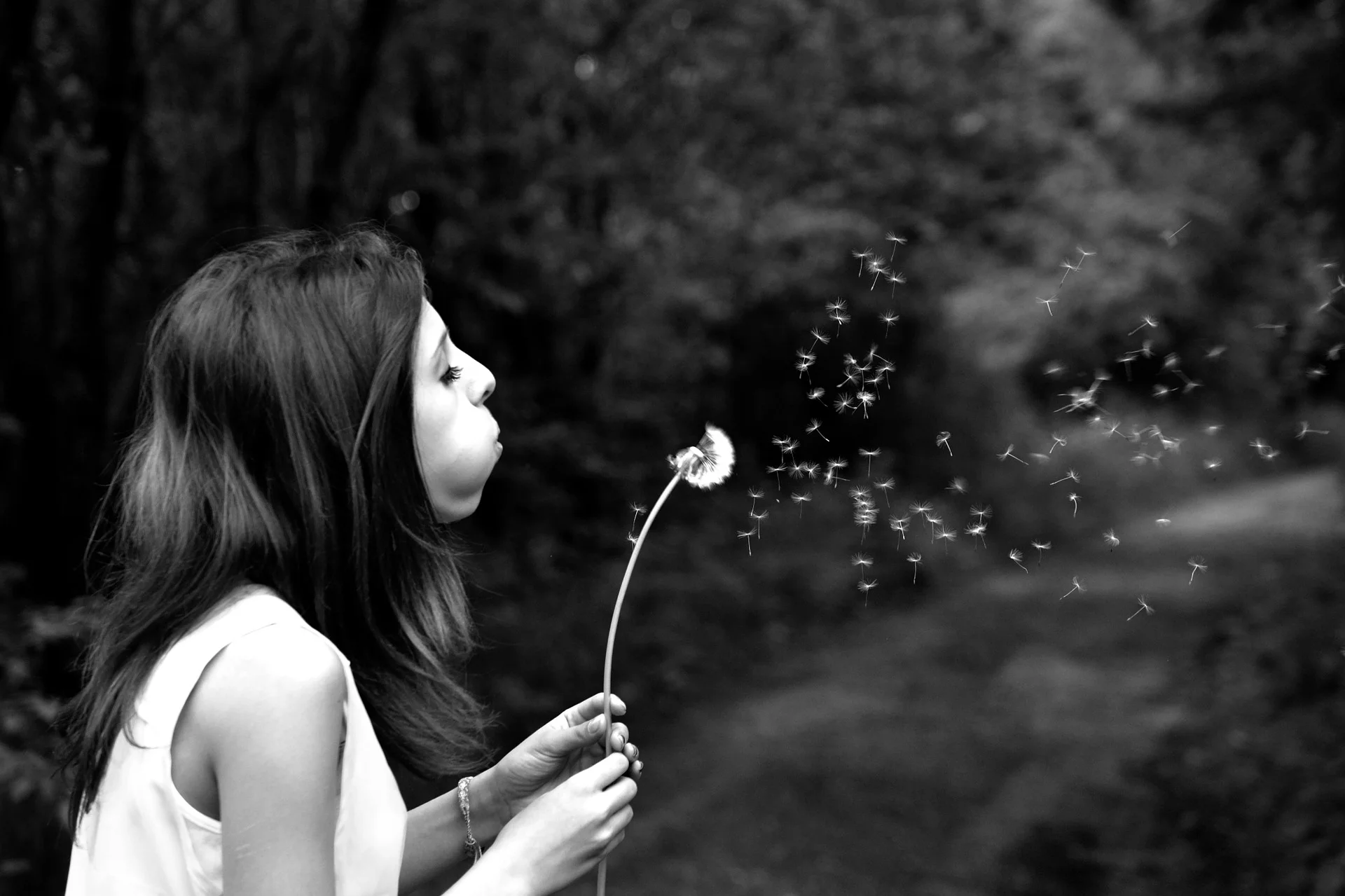 One Little Wish kit